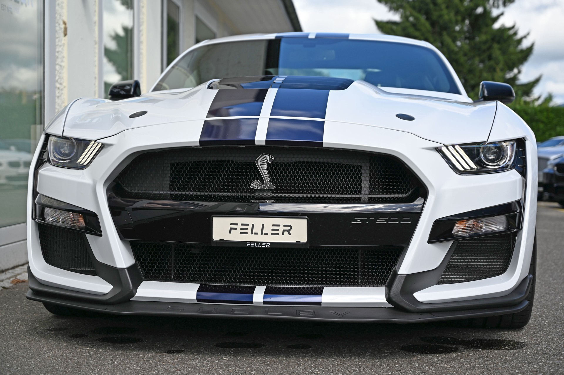 FORD Mustang Shelby GT500 Recaro-image-3
