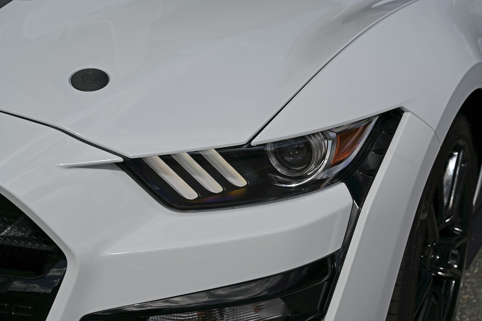 FORD Mustang Shelby GT500 Recaro-image-4