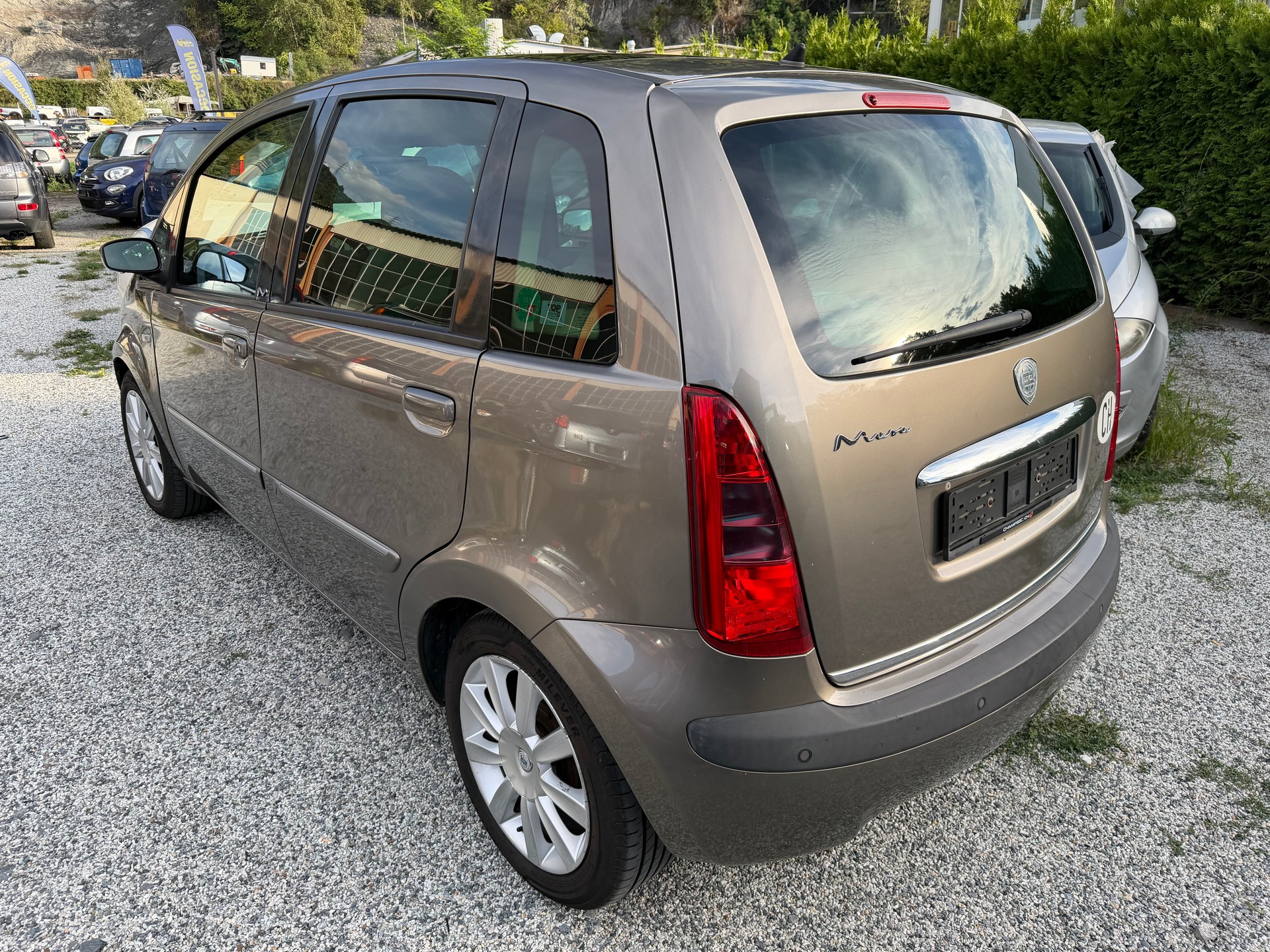 LANCIA MUSA-image-5