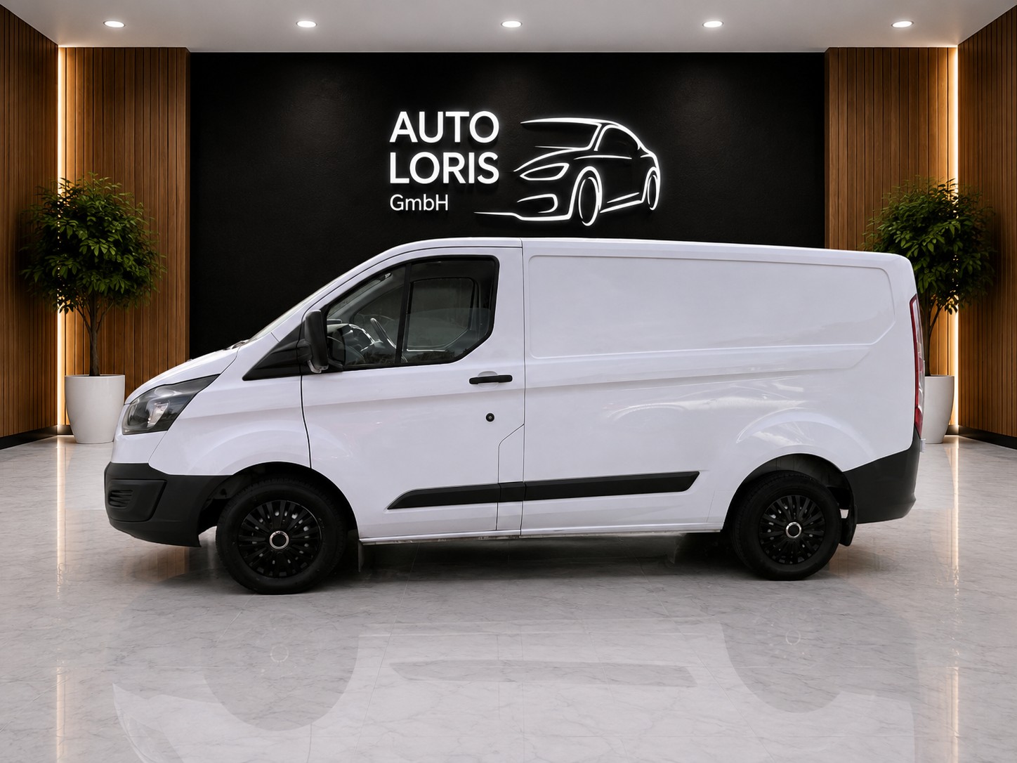 FORD TRANSIT CUSTOM-image-4