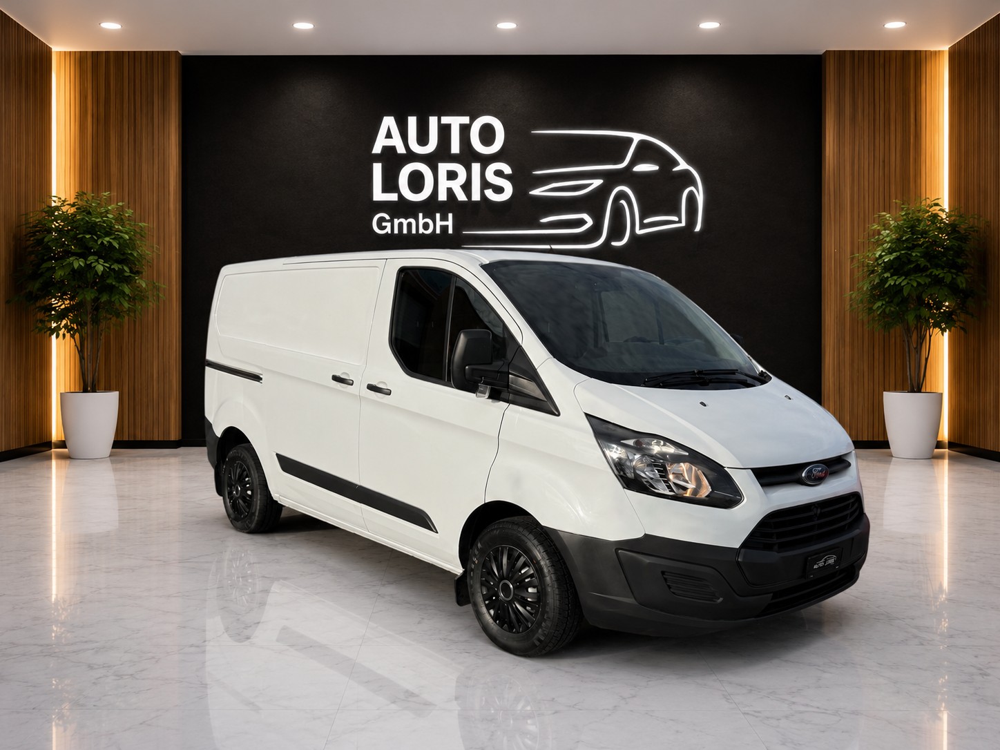 FORD TRANSIT CUSTOM-image-1