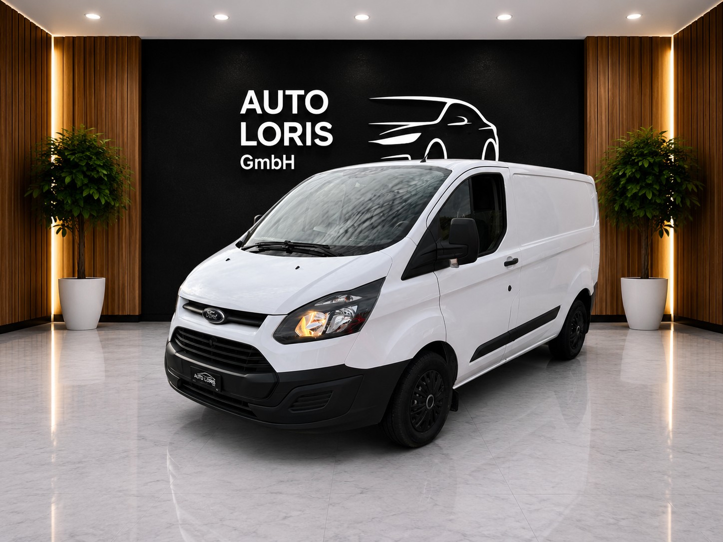 FORD TRANSIT CUSTOM-image-0