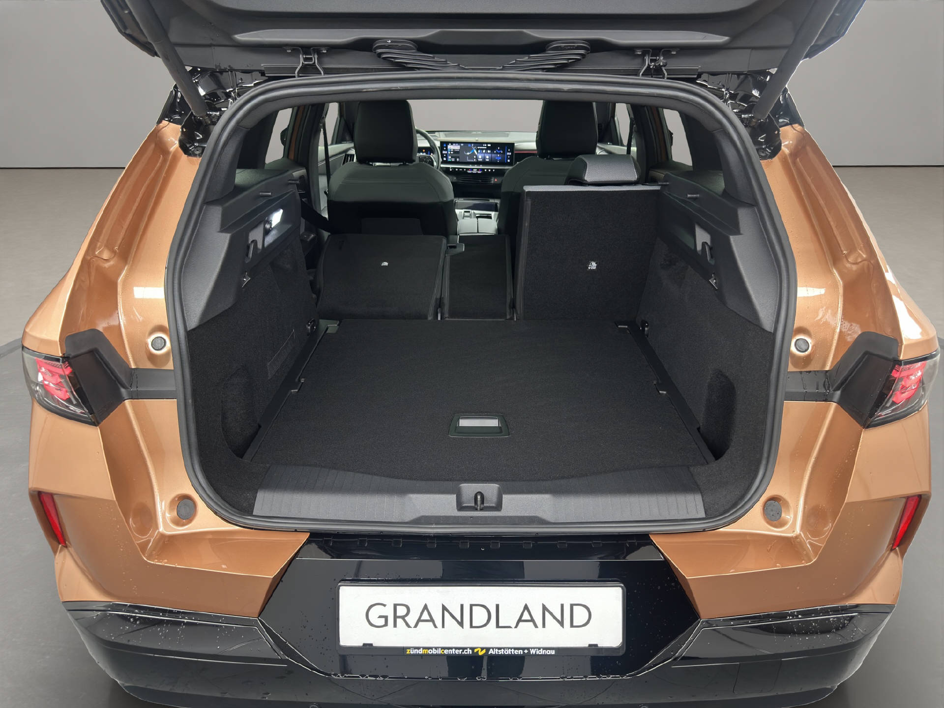OPEL Grandland GS electric 213PS 73 kWh-image-11