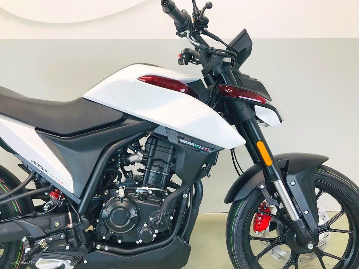 MALAGUTI DRAKON 125-showroom-element-3