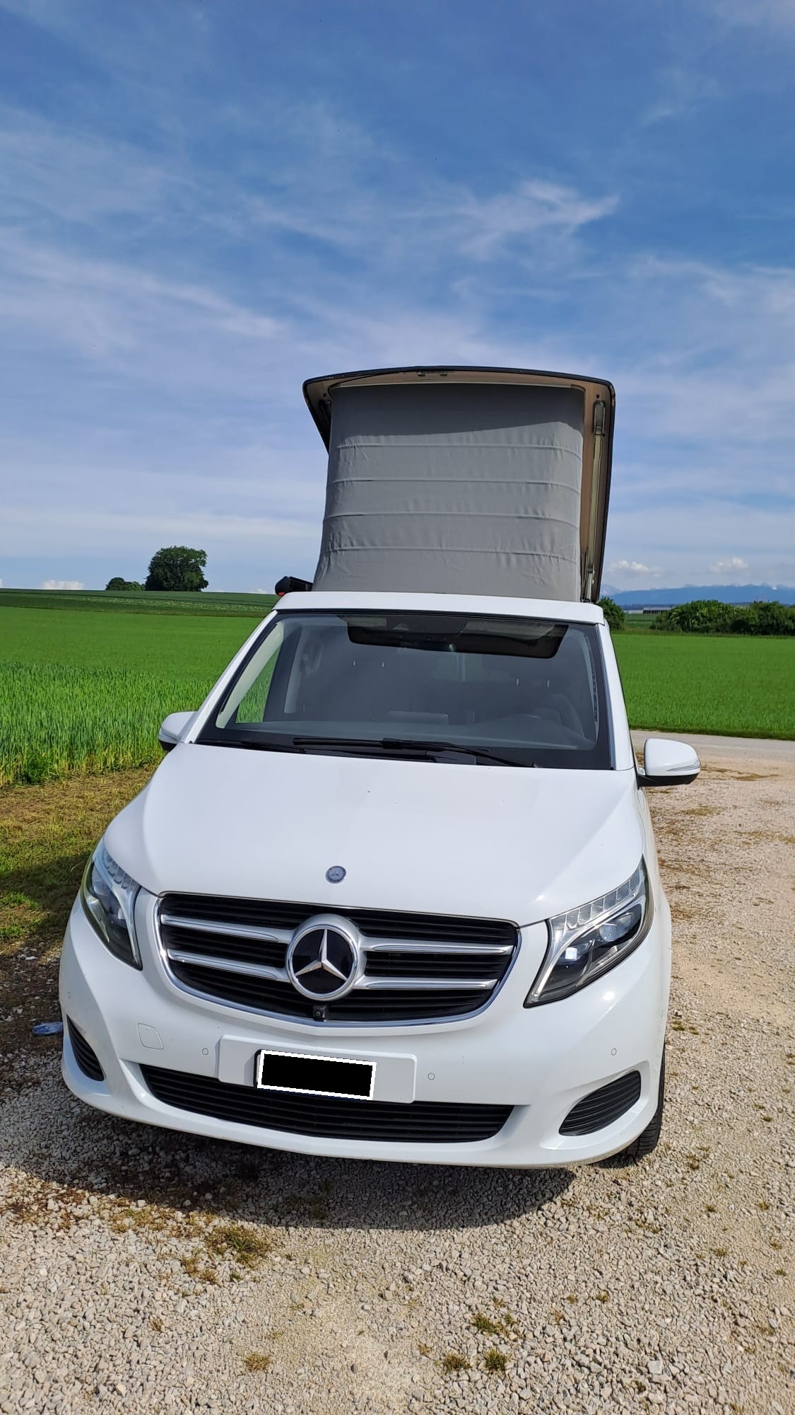 MERCEDES-BENZ 250 d 4matic-image-1