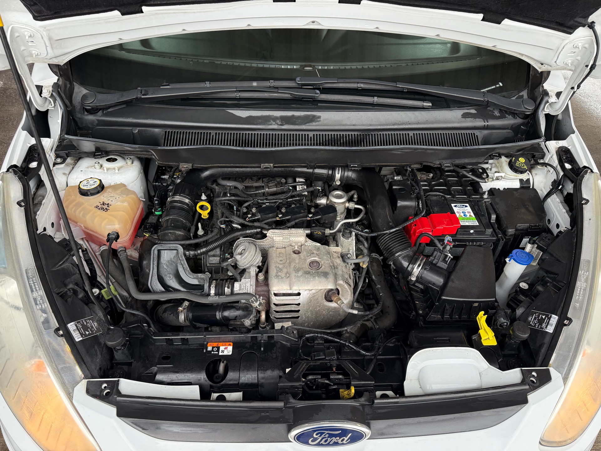 FORD B-Max 1.0 SCTi Trend-image-8
