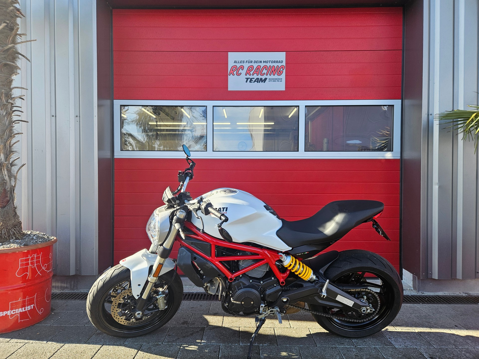 DUCATI Monster 797-image-2