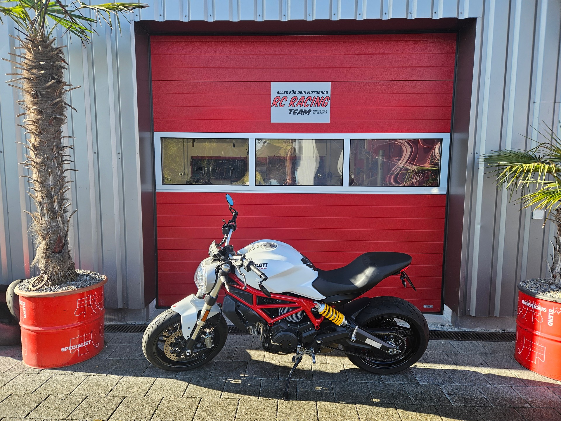 DUCATI Monster 797-image-1