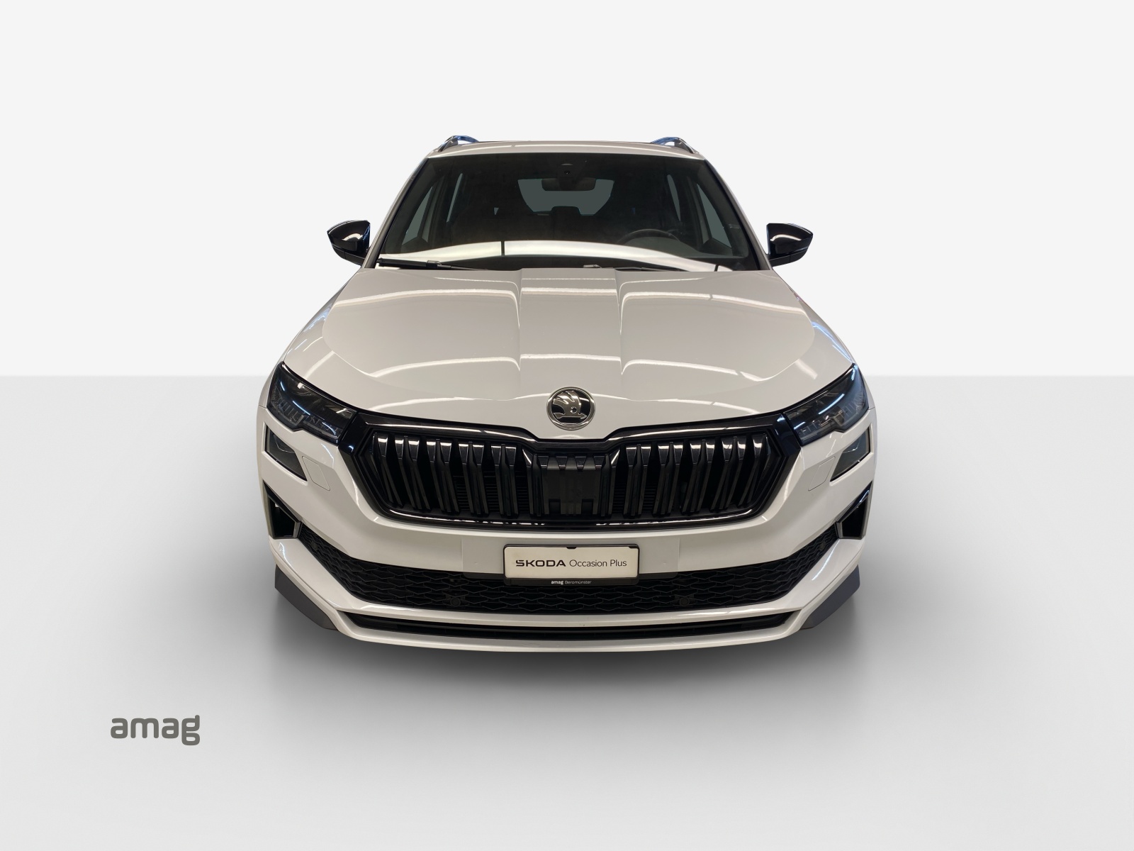 SKODA Karoq 2.0 TSI SportLine 4x4 DSG-image-6