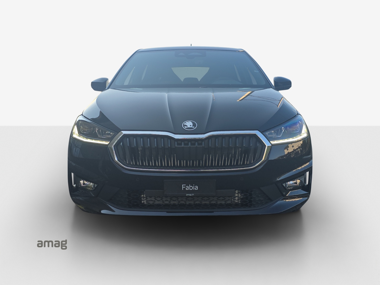 SKODA Fabia 1.5 TSI Dynamic DSG-image-6