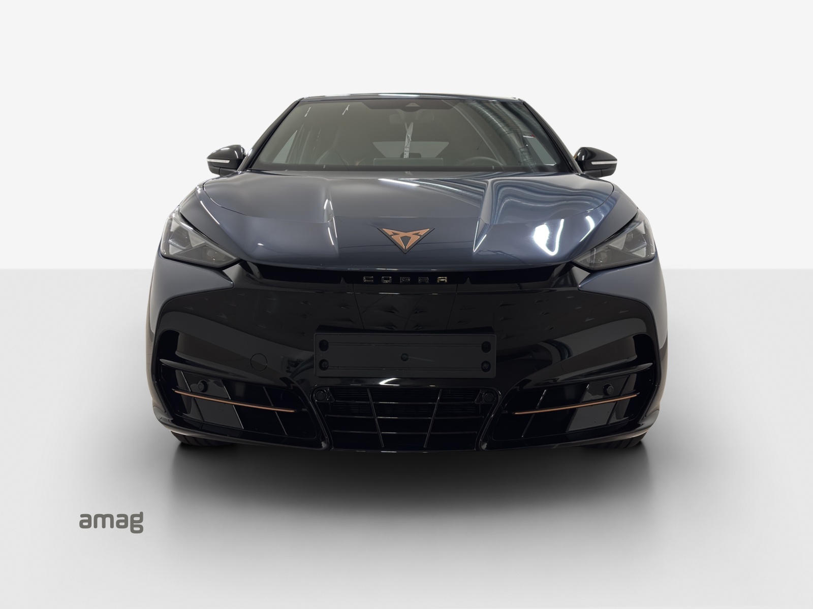 CUPRA Tavascan Type 8 77 kWh VZ-image-6