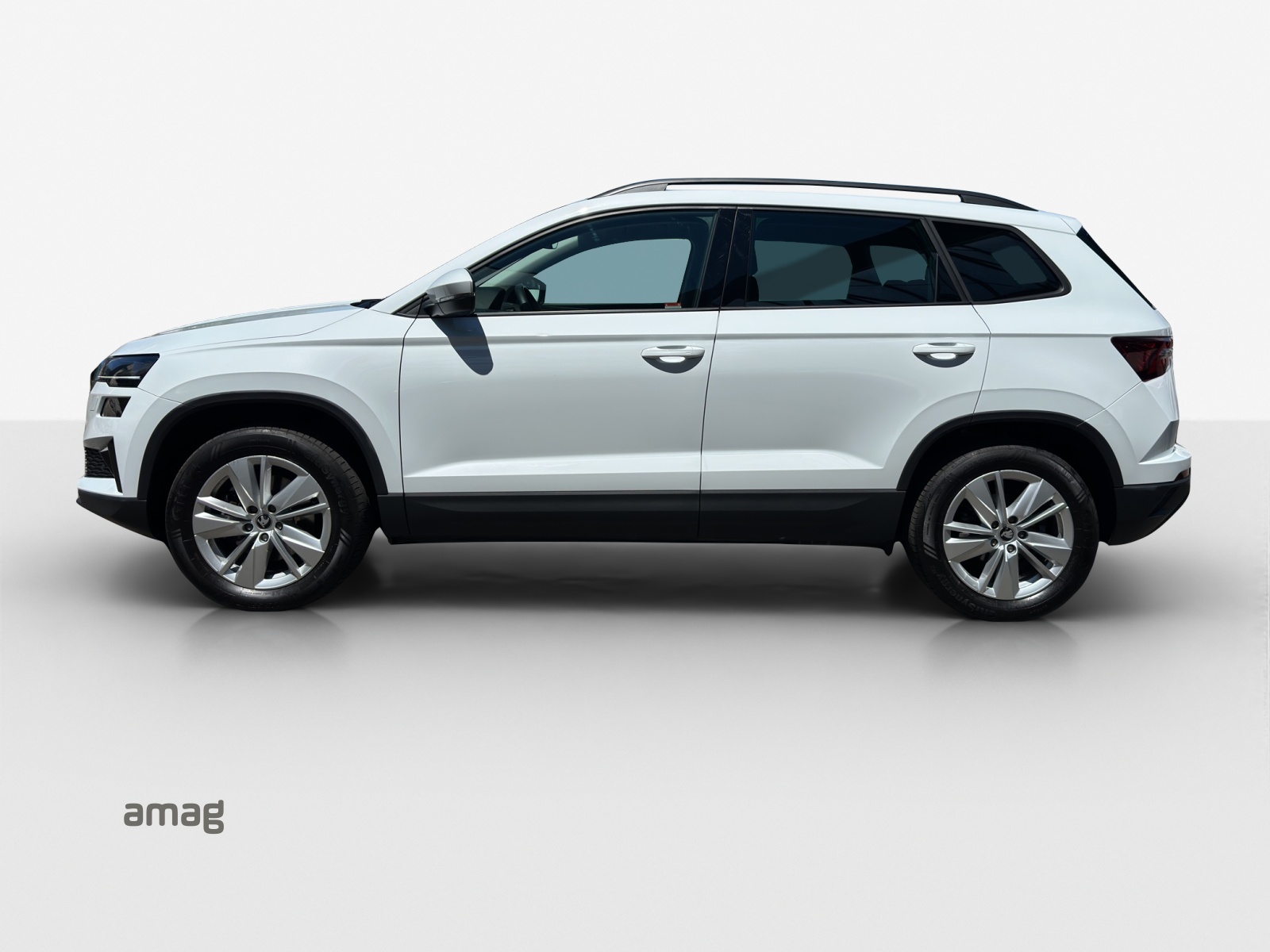 SKODA Karoq 2.0 TDI CR Selection 4x4 DSG-image-1