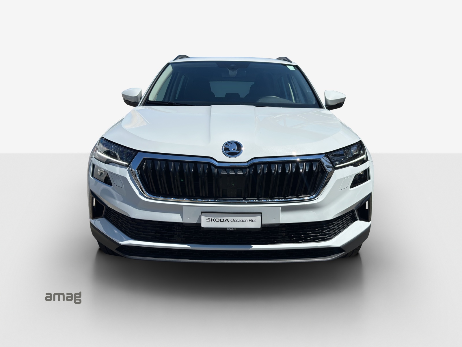 SKODA Karoq 2.0 TDI CR Selection 4x4 DSG-image-6