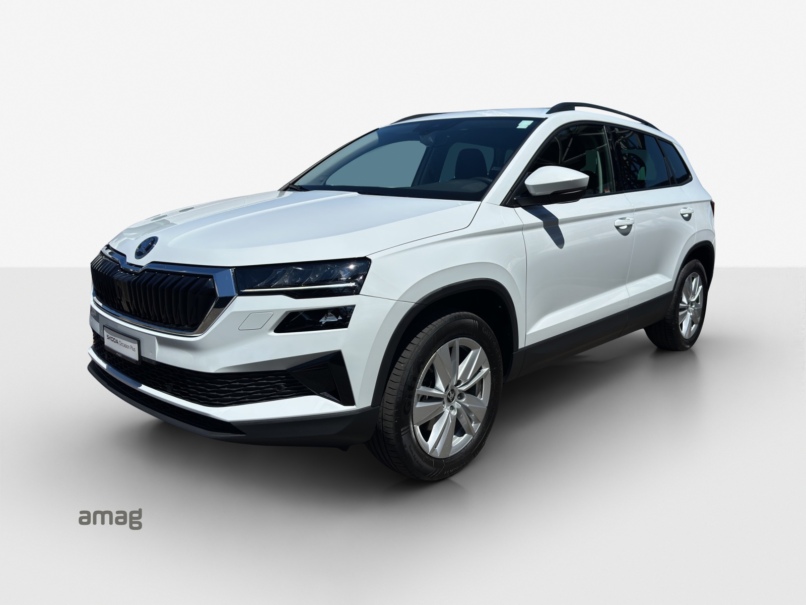 SKODA Karoq 2.0 TDI CR Selection 4x4 DSG-image-0