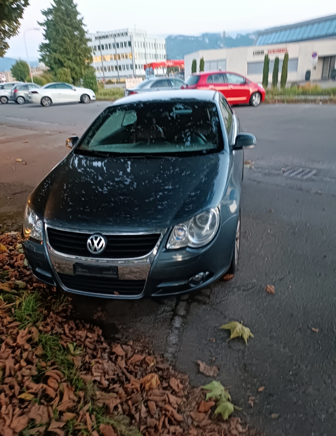 VW Eos 2.0 FSI Turbo-image-1