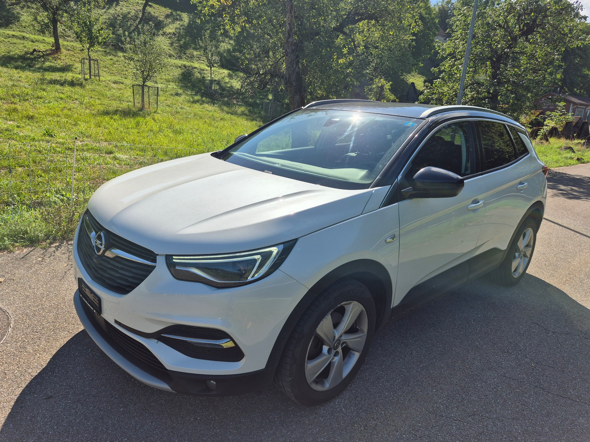 OPEL Grandland X 1.6CDTi Excellence Automatik-image-0