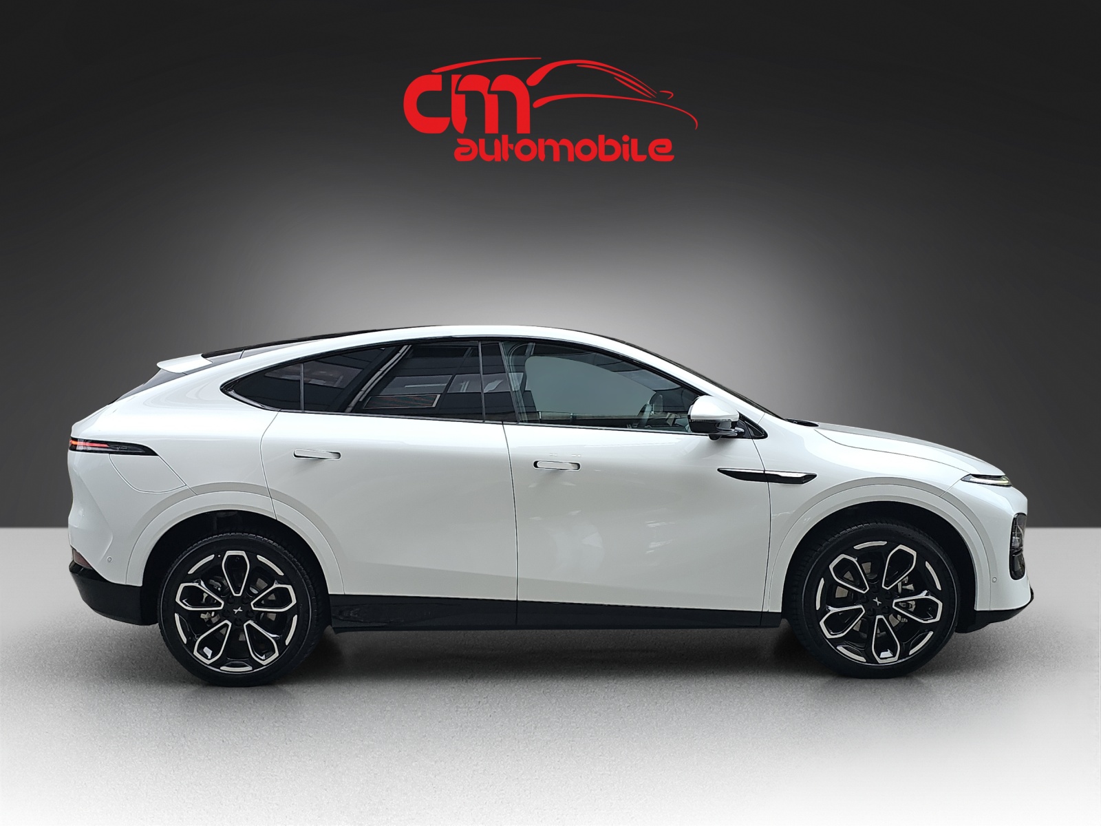 XPENG G6 80kWh Performance AWD-image-4