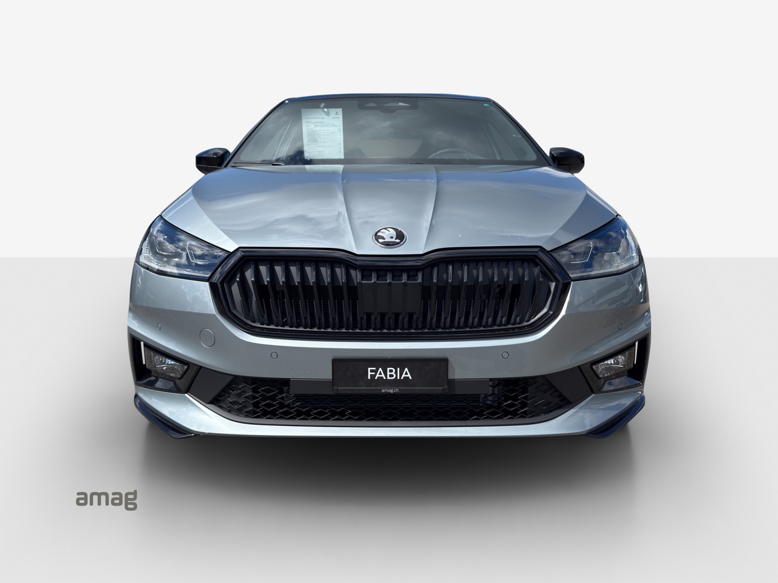 SKODA Fabia 1.5 TSI Monte Carlo DSG-image-6