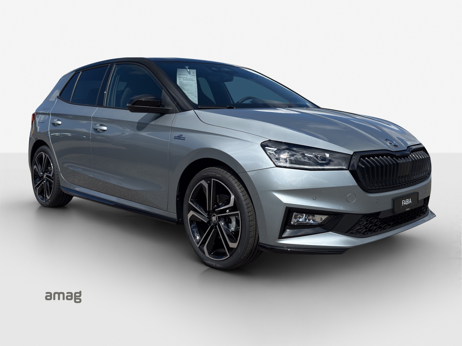 SKODA Fabia 1.5 TSI Monte Carlo DSG-image-5