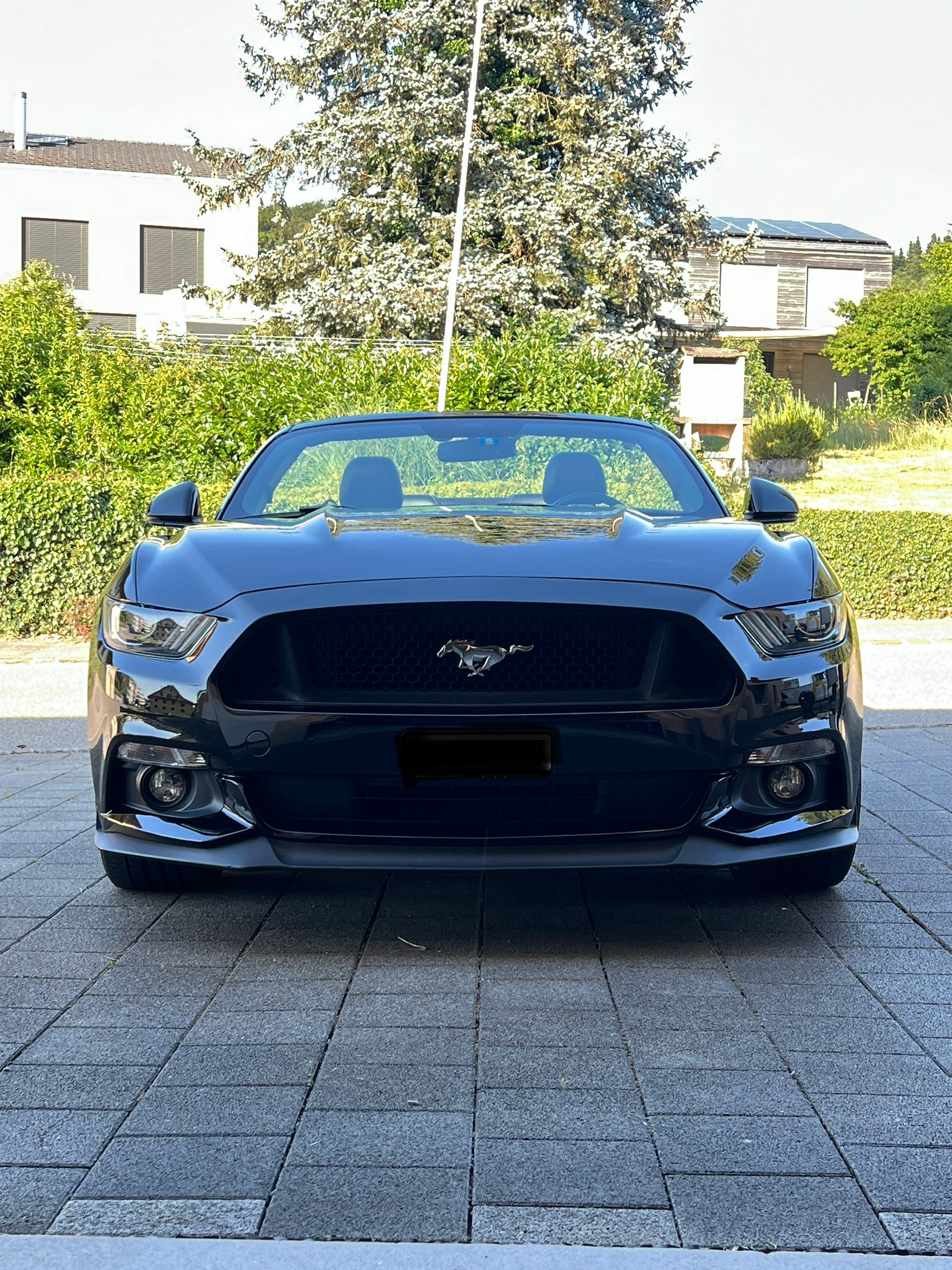 FORD 5.0 V8 GT-image-1
