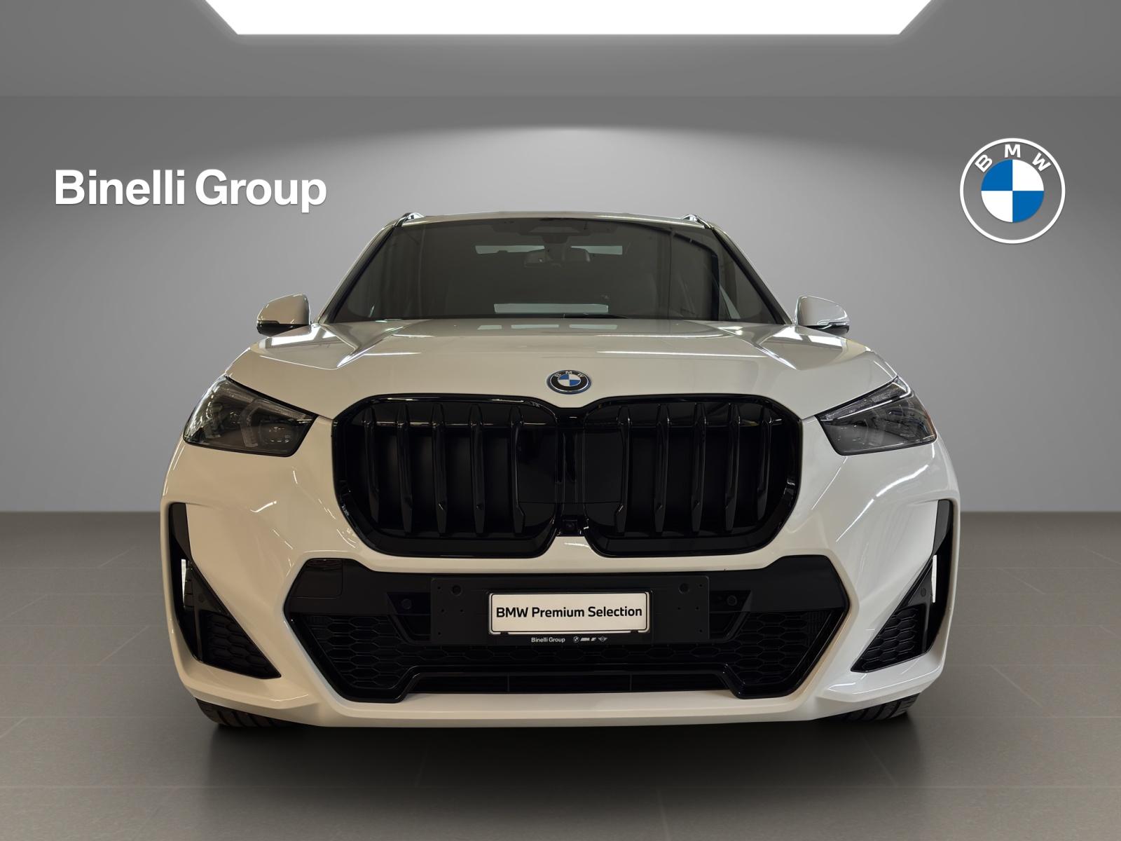 BMW X1 30e xDrive paddles-image-2
