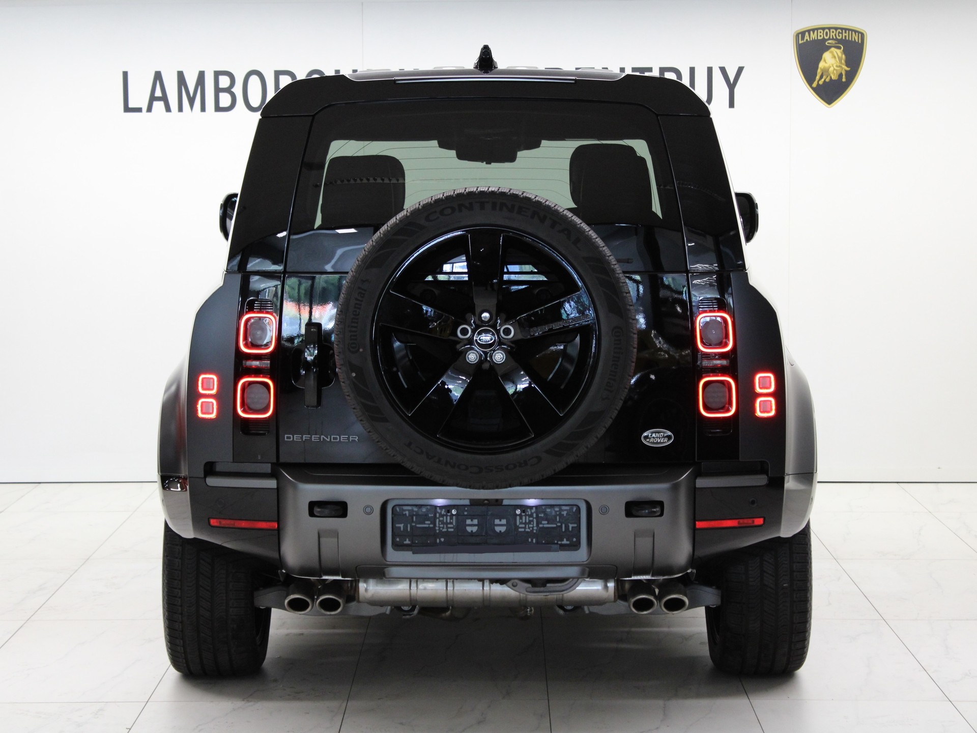 LAND ROVER Defender 110 525 V8 5.0 Carpathian Edition AT8-image-3