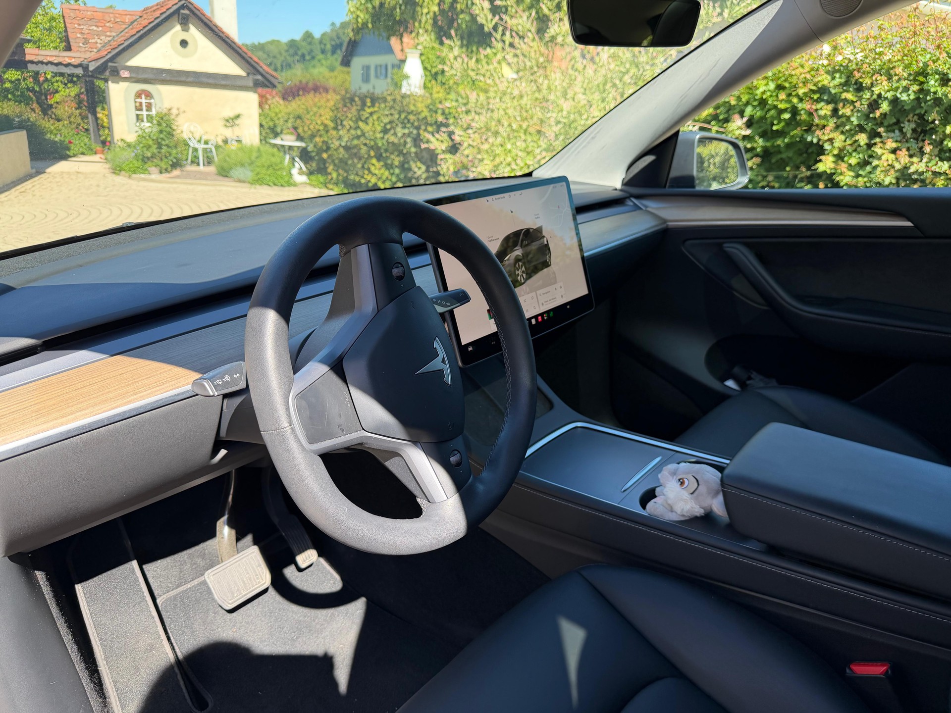 TESLA Long Range D-image-4
