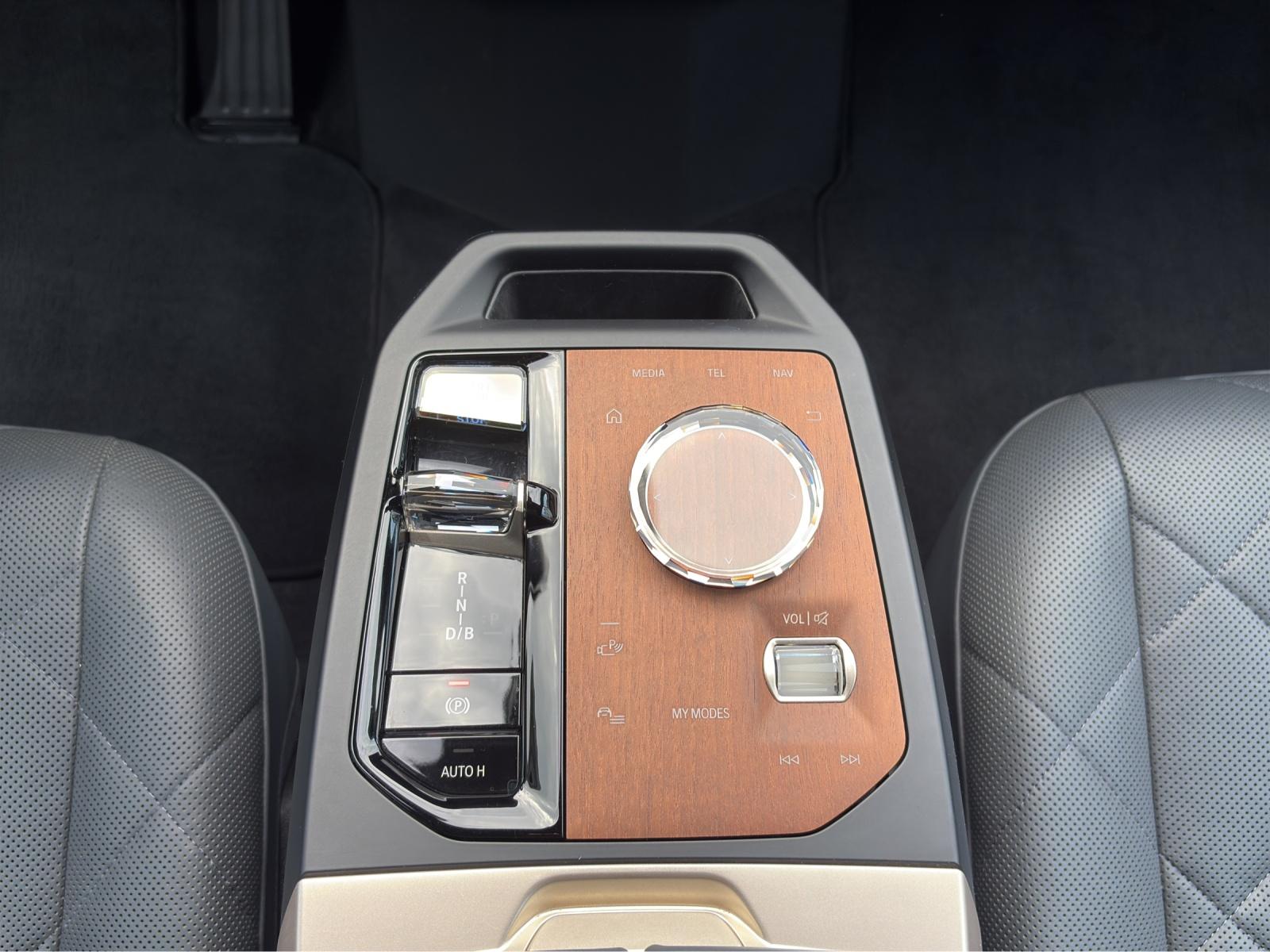 BMW iX xDrive40-image-20