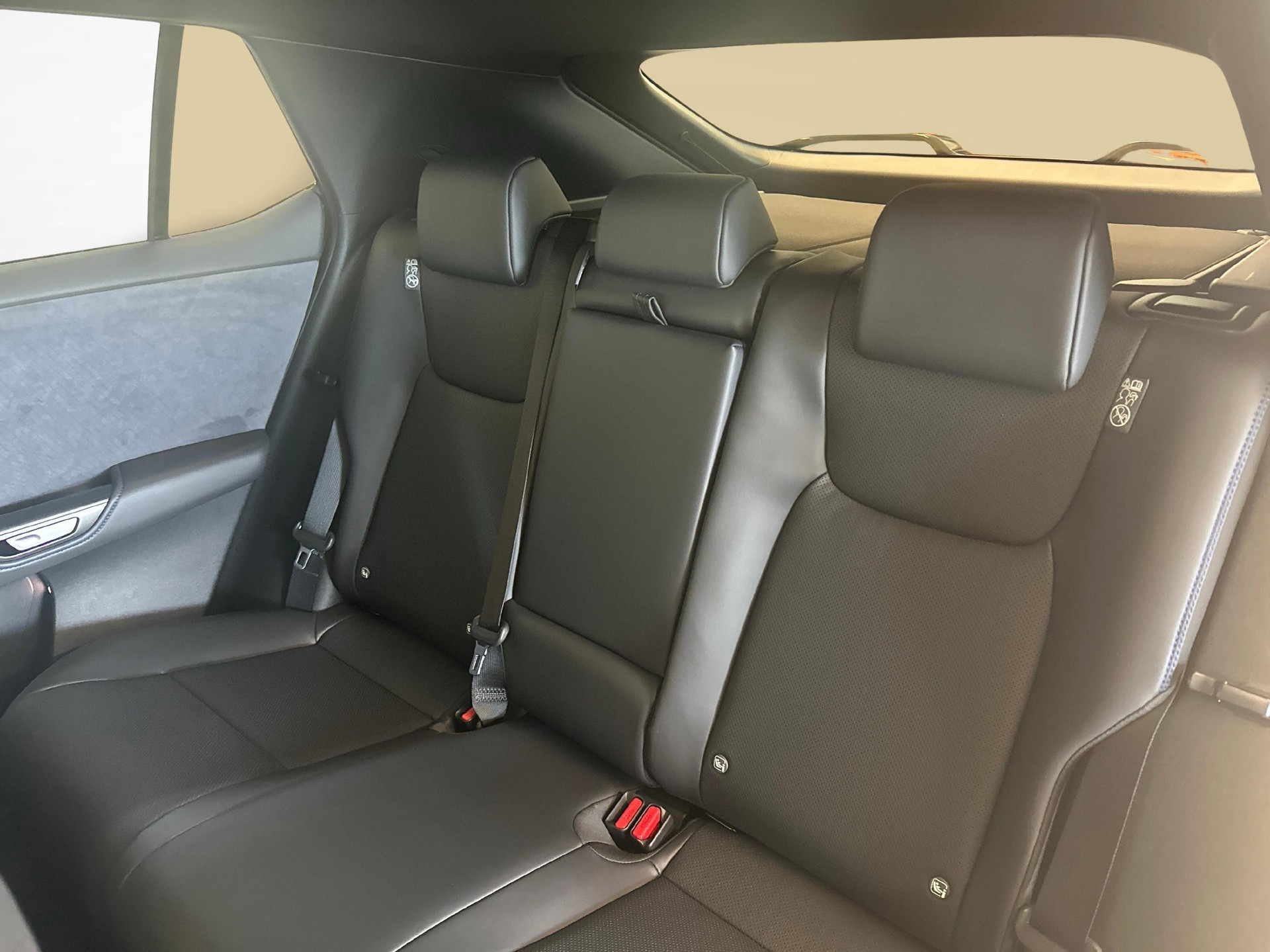 LEXUS RZ 550e F Sport-image-9