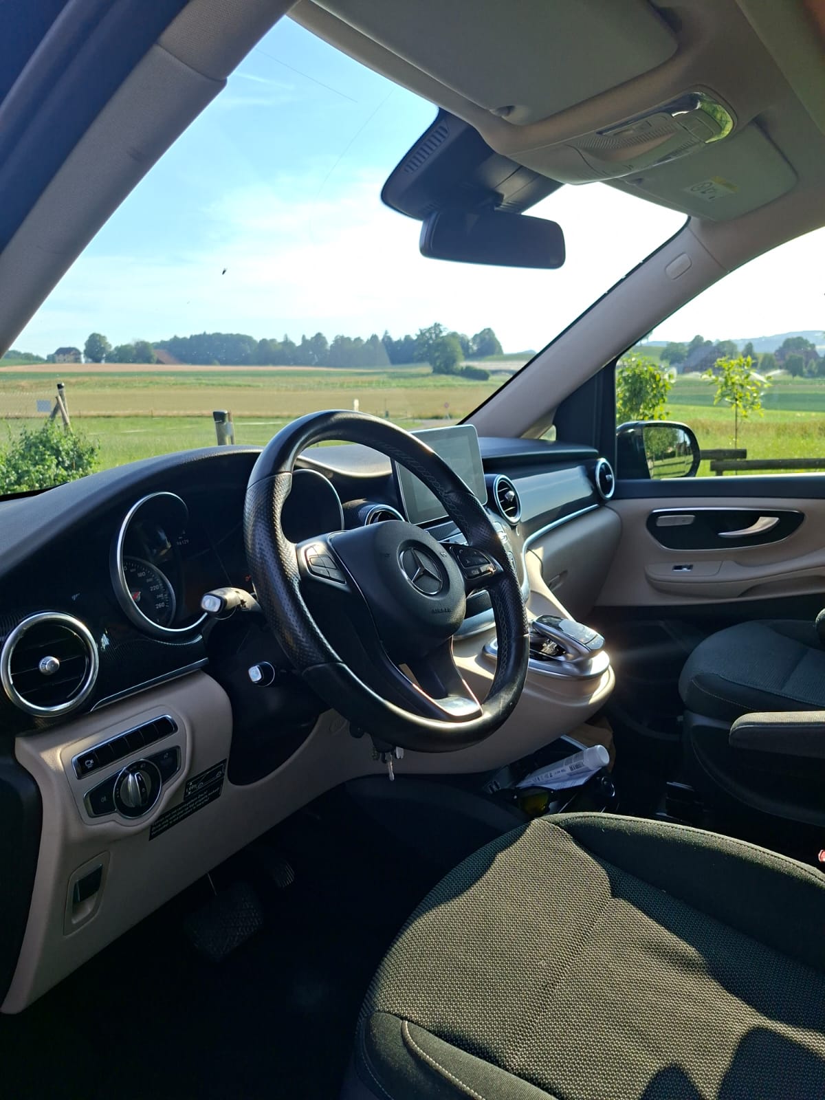 MERCEDES-BENZ 250 d-image-5
