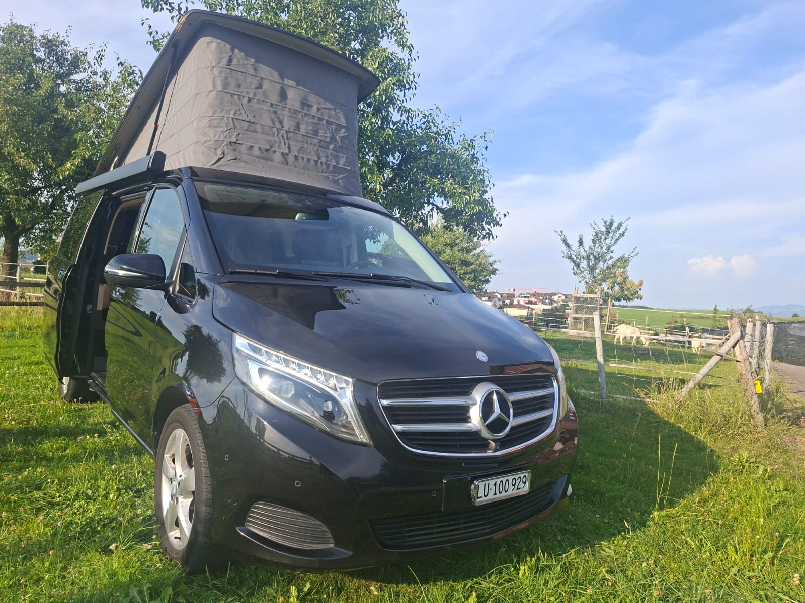 MERCEDES-BENZ 250 d-image-1