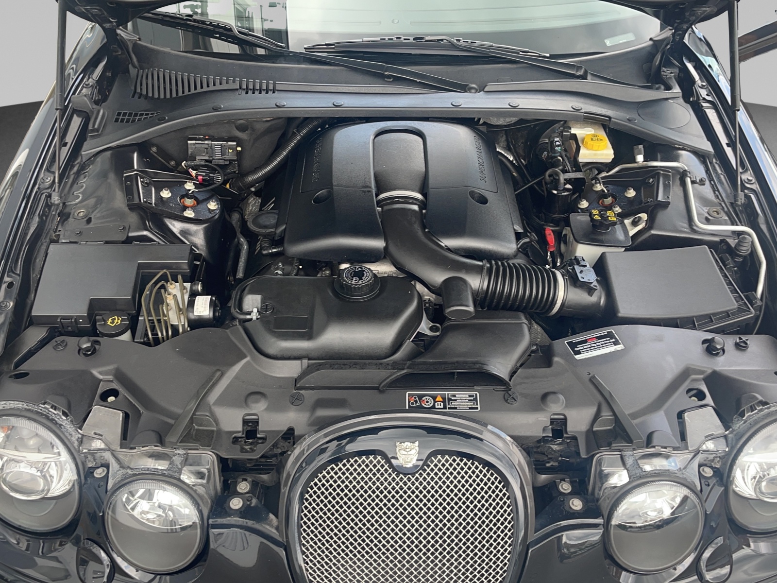 JAGUAR S-Type 4.2 V8 S/C R-image-10
