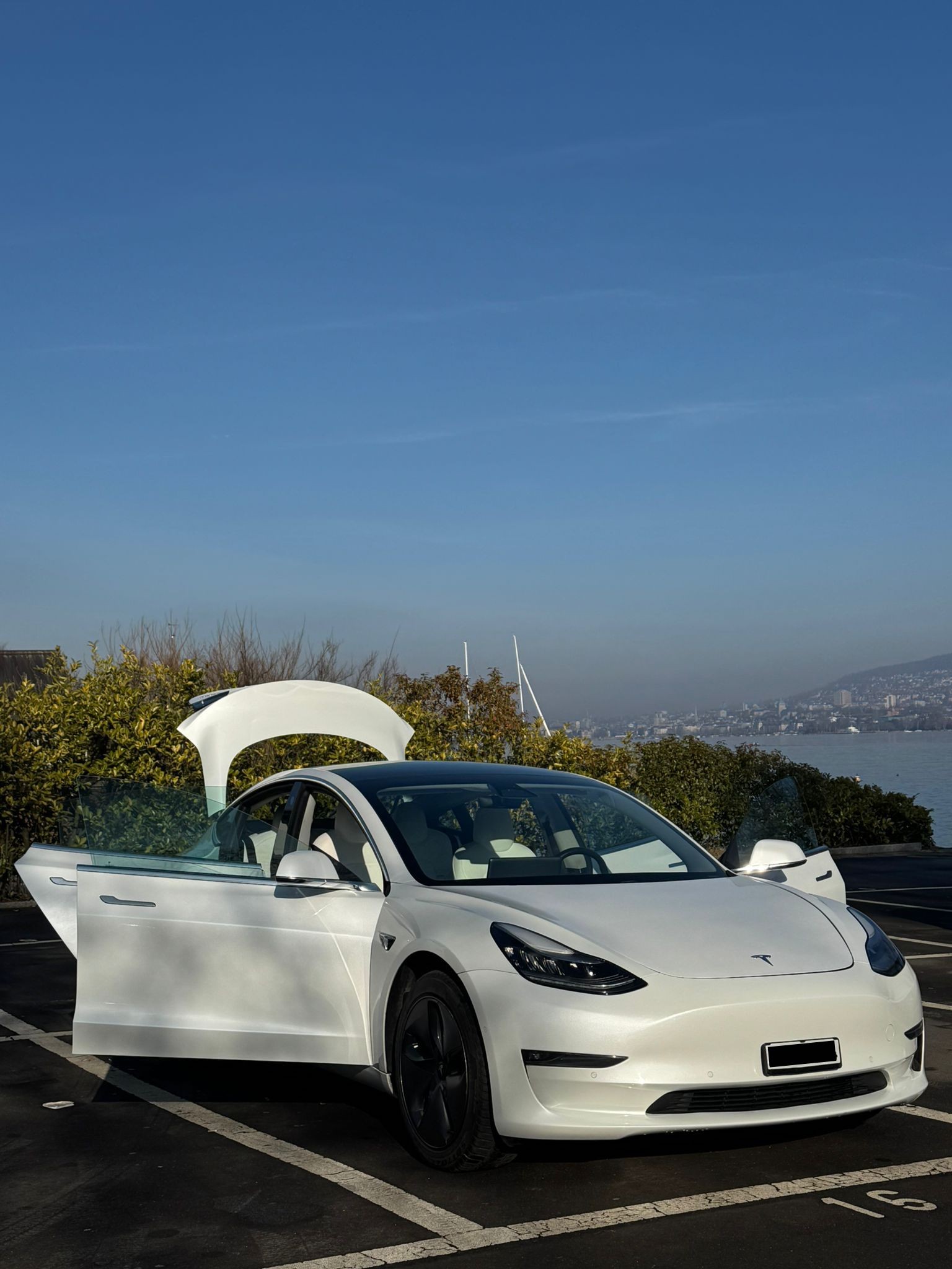 TESLA Model 3 Long Range Dual Motor AWD-image-3