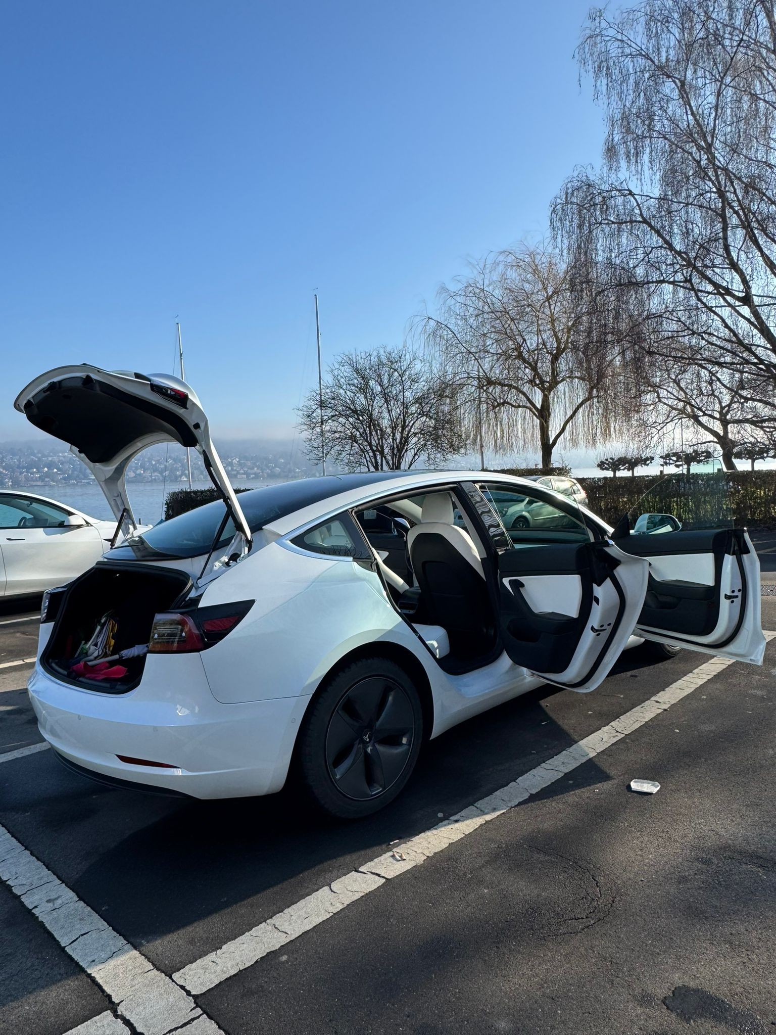 TESLA Model 3 Long Range Dual Motor AWD-image-7