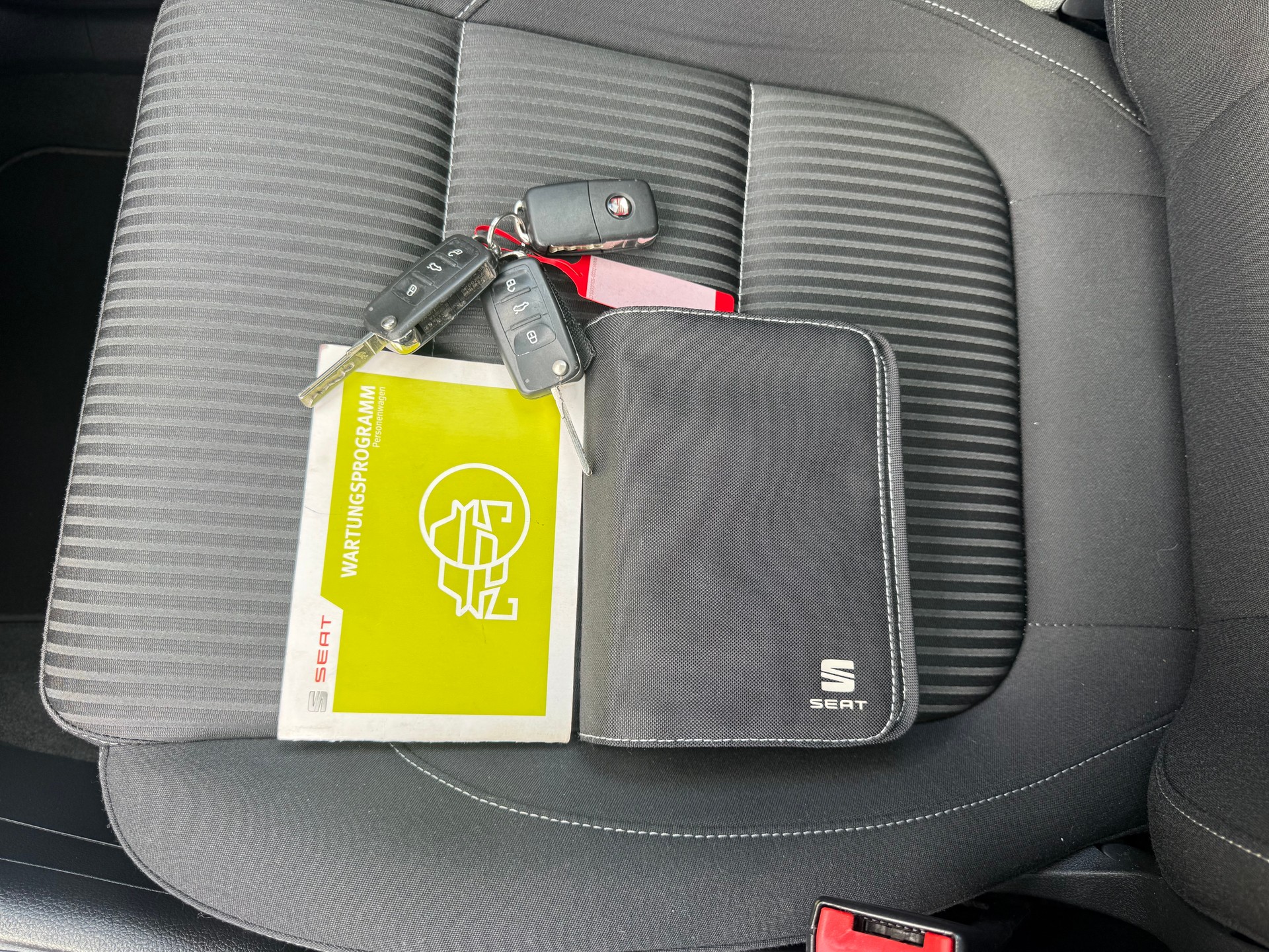 SEAT Alhambra 2.0 TDI Style Viva 4x4-image-17