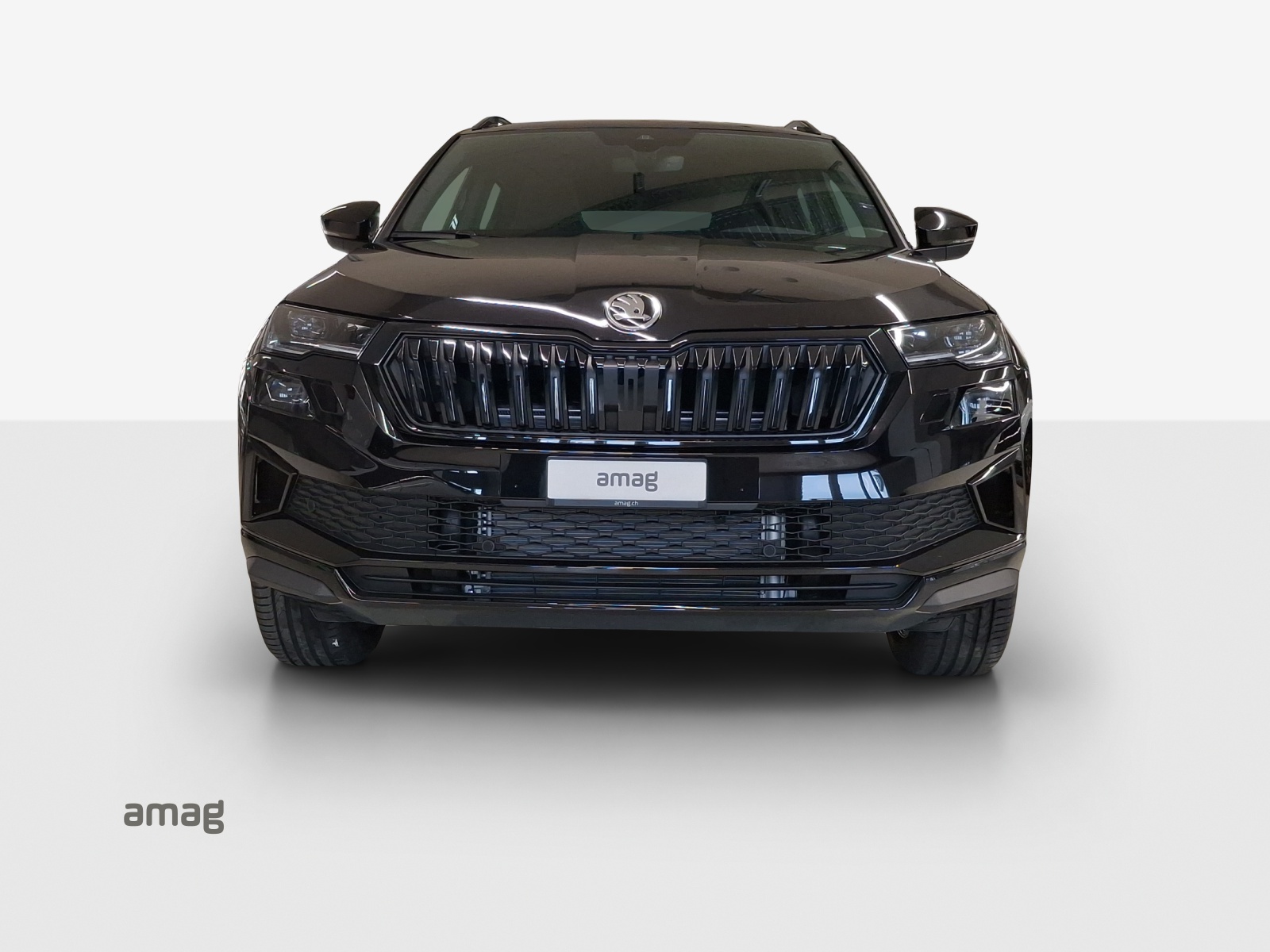 SKODA Karoq Dynamic Limited Edition-image-6