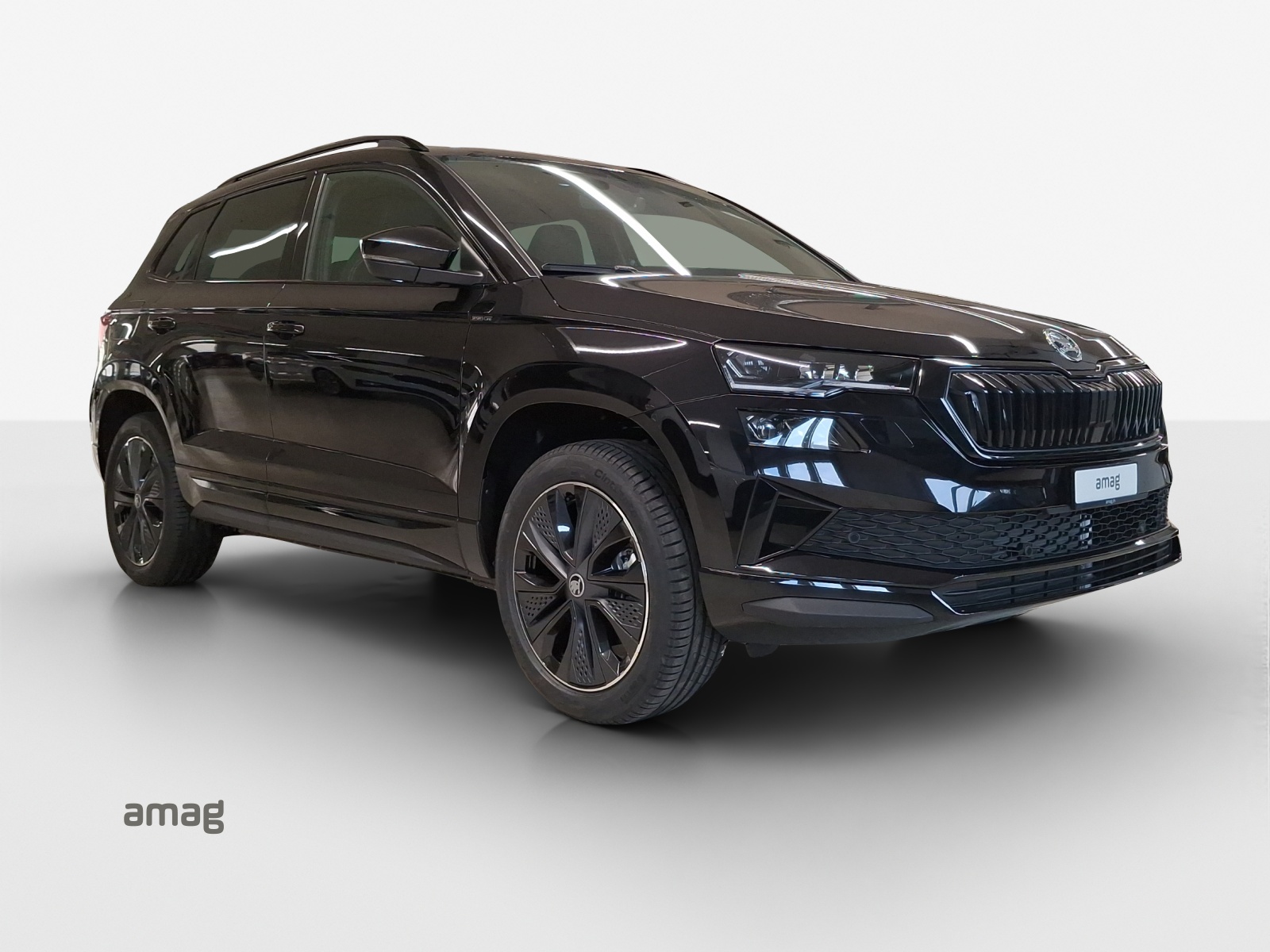 SKODA Karoq Dynamic Limited Edition-image-5