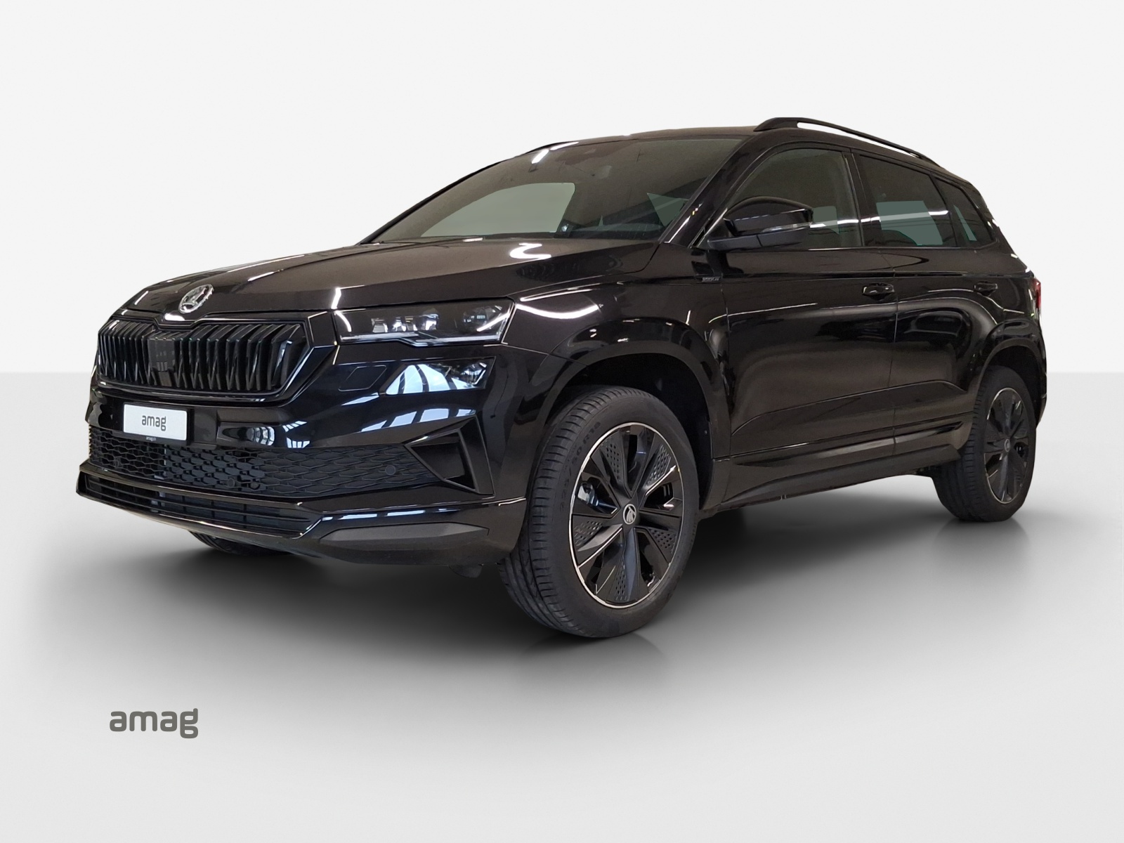 SKODA Karoq Dynamic Limited Edition-image-0