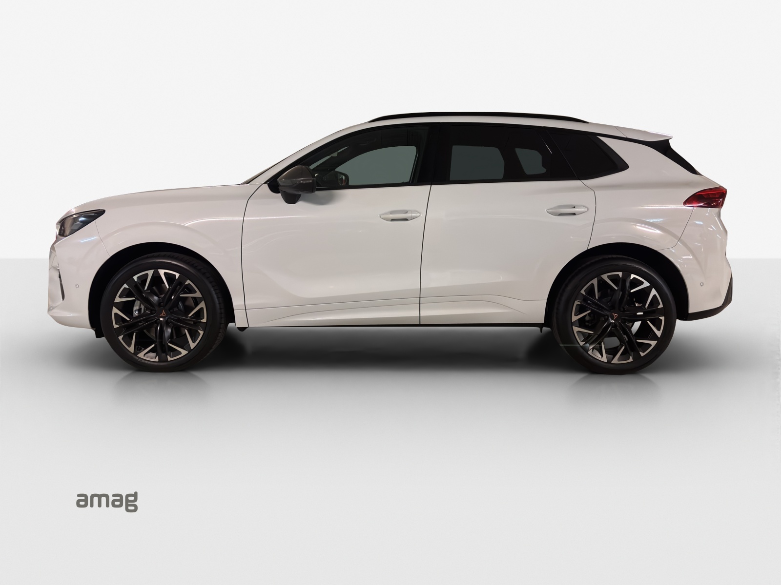 CUPRA Terramar 2.0 TSI Prime Edition DSG 4Drive-image-1