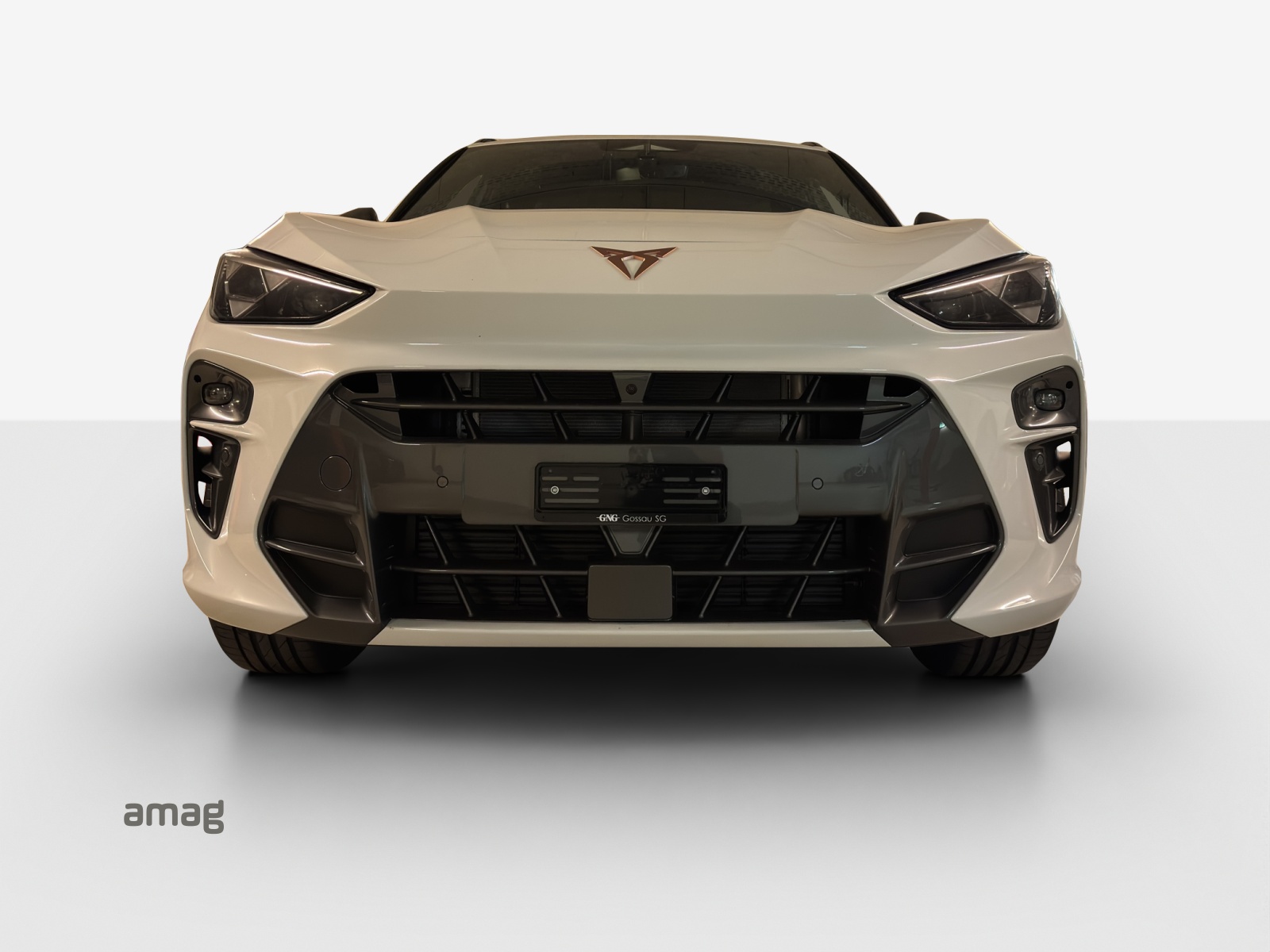 CUPRA Terramar 2.0 TSI Prime Edition DSG 4Drive-image-6