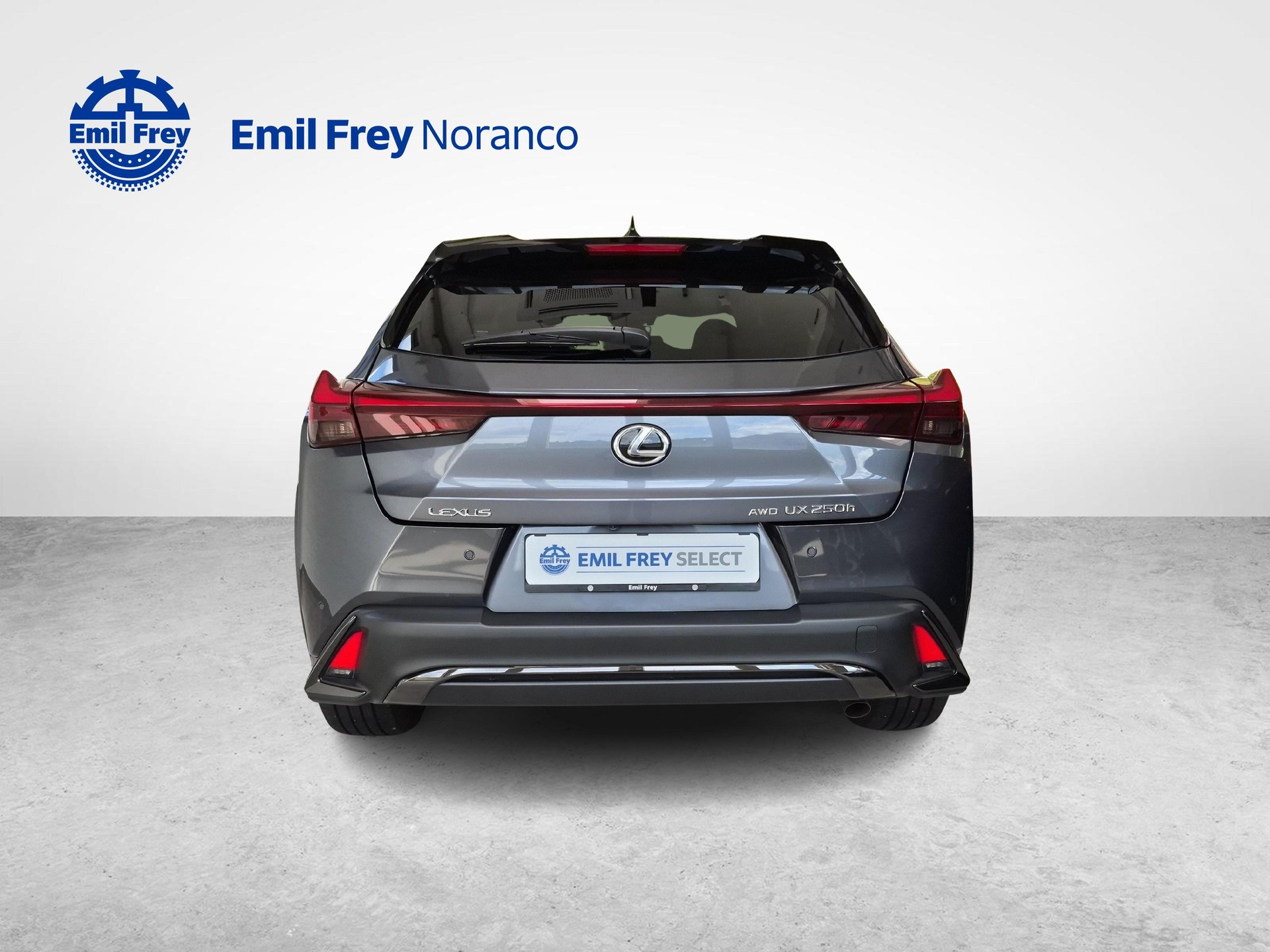 LEXUS UX 250h F-Line - Ruote invernali incluse-showroom-element-3