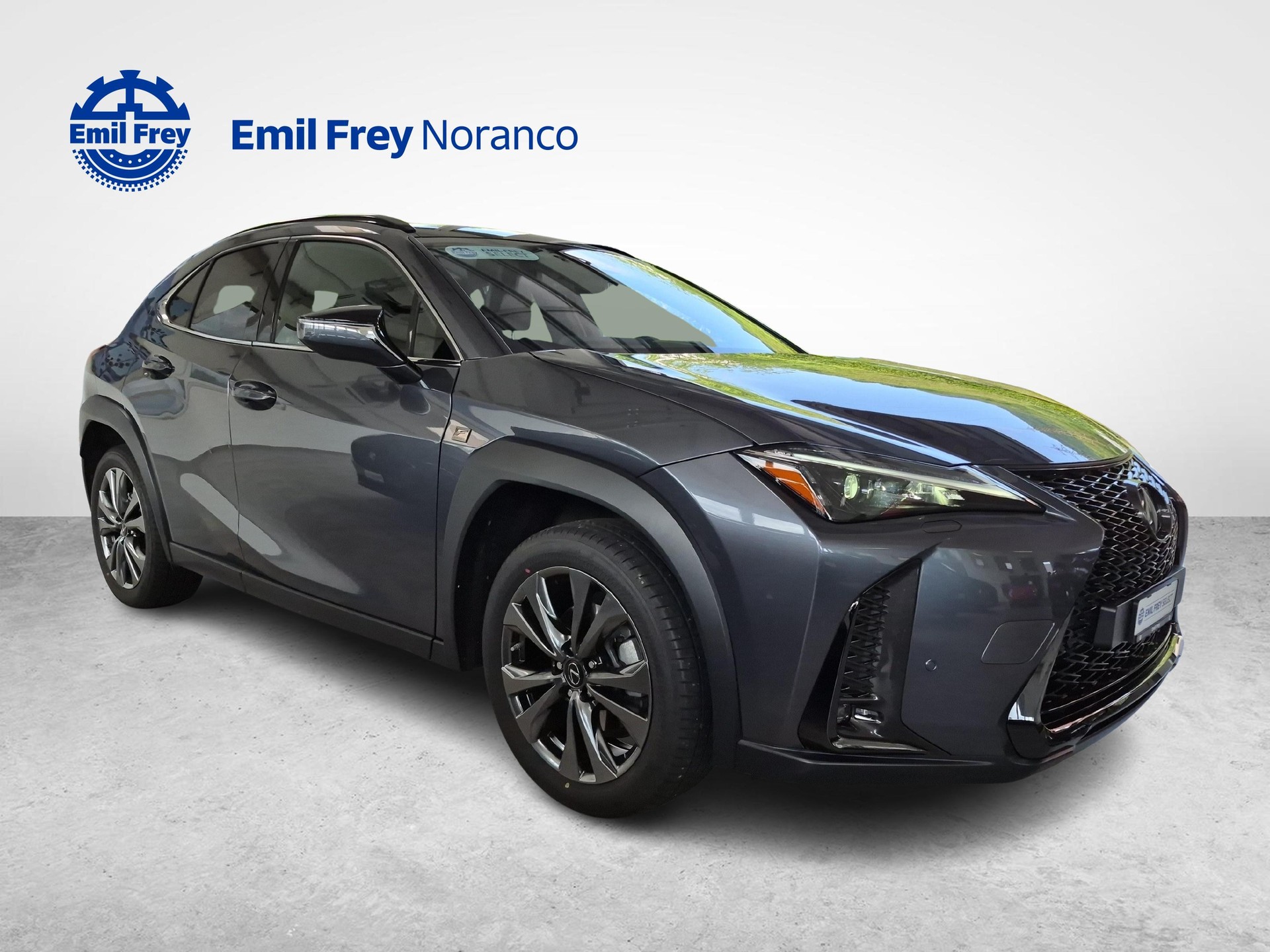 LEXUS UX 250h F-Line - Ruote invernali incluse-showroom-element-2