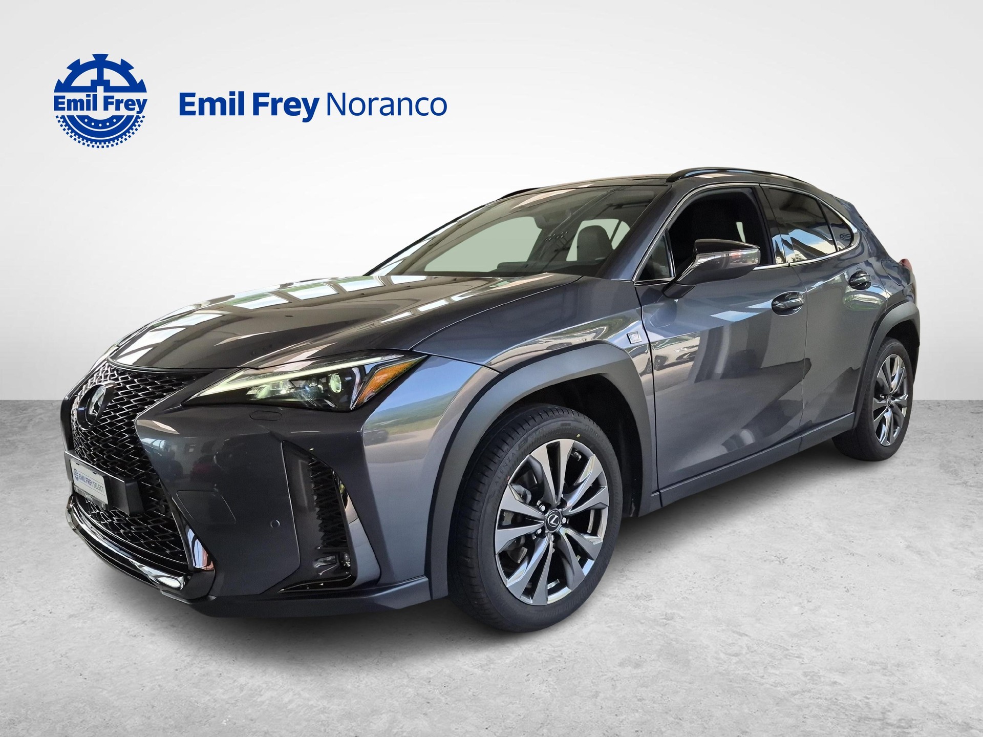 LEXUS UX 250h F-Line - Ruote invernali incluse