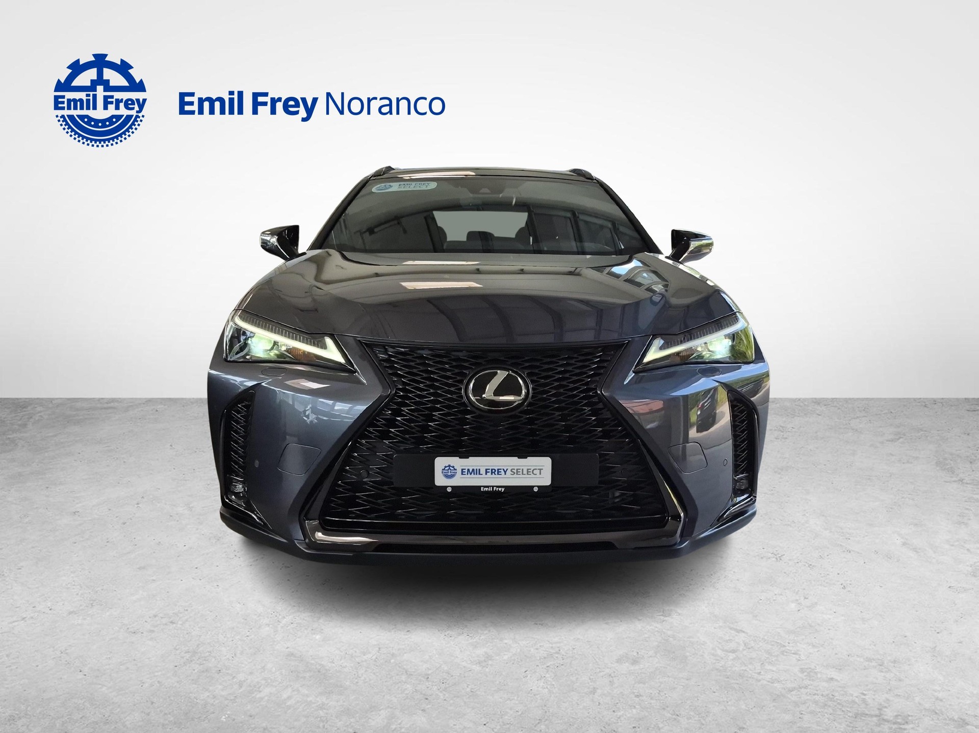 LEXUS UX 250h F-Line - Ruote invernali incluse-image-7