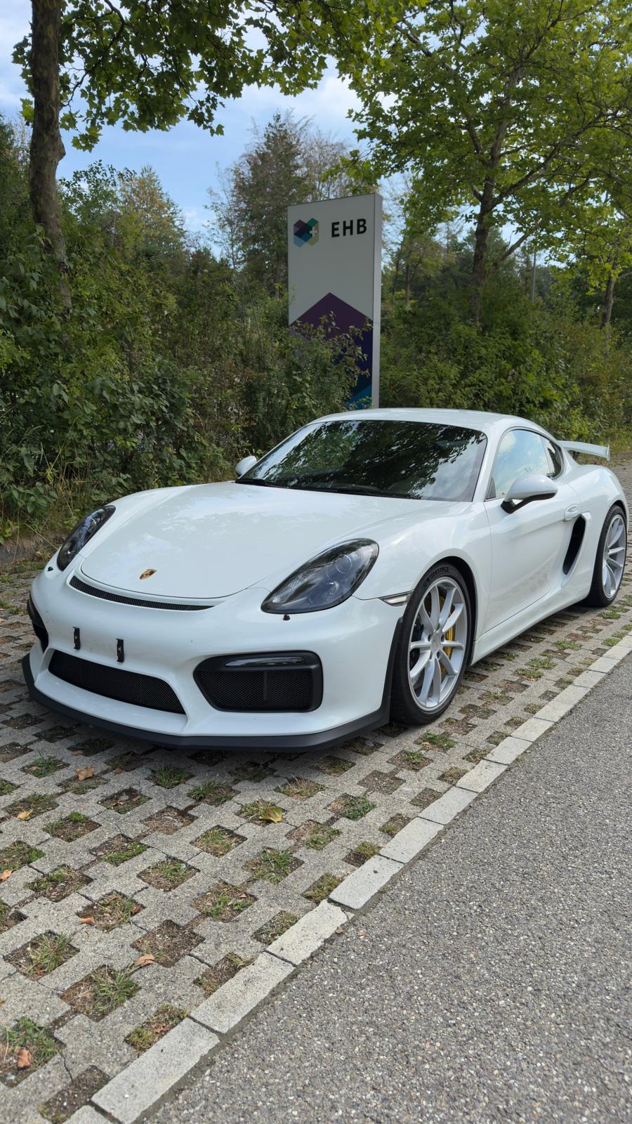 PORSCHE 3.8 GT4-image-2