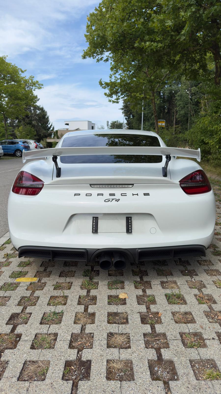 PORSCHE 3.8 GT4-image-1