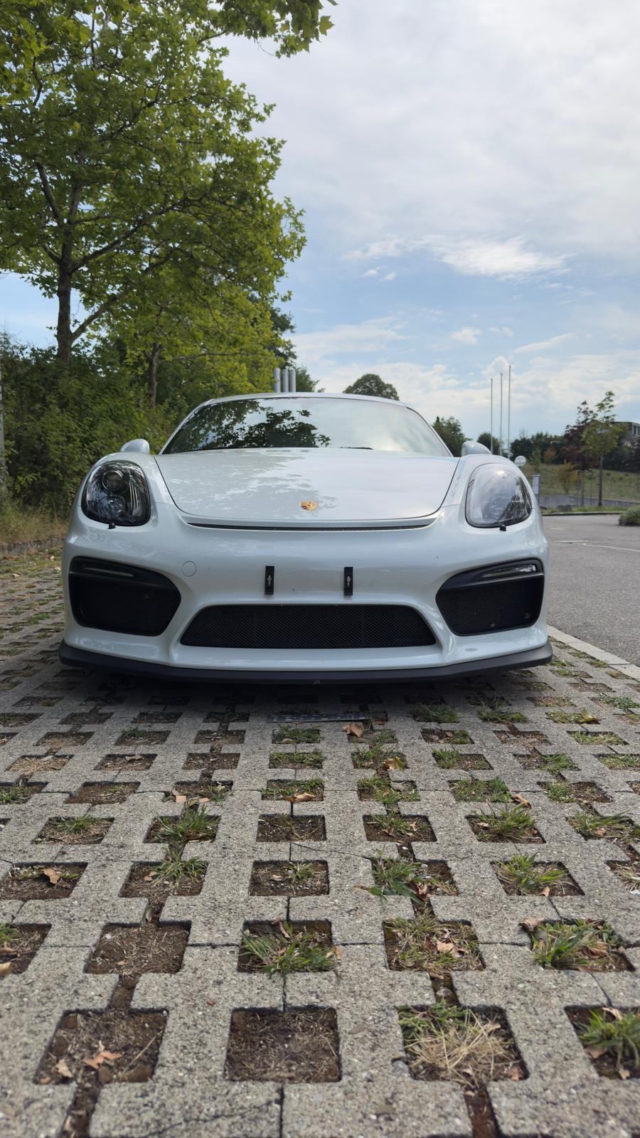 PORSCHE 3.8 GT4 — slika 1