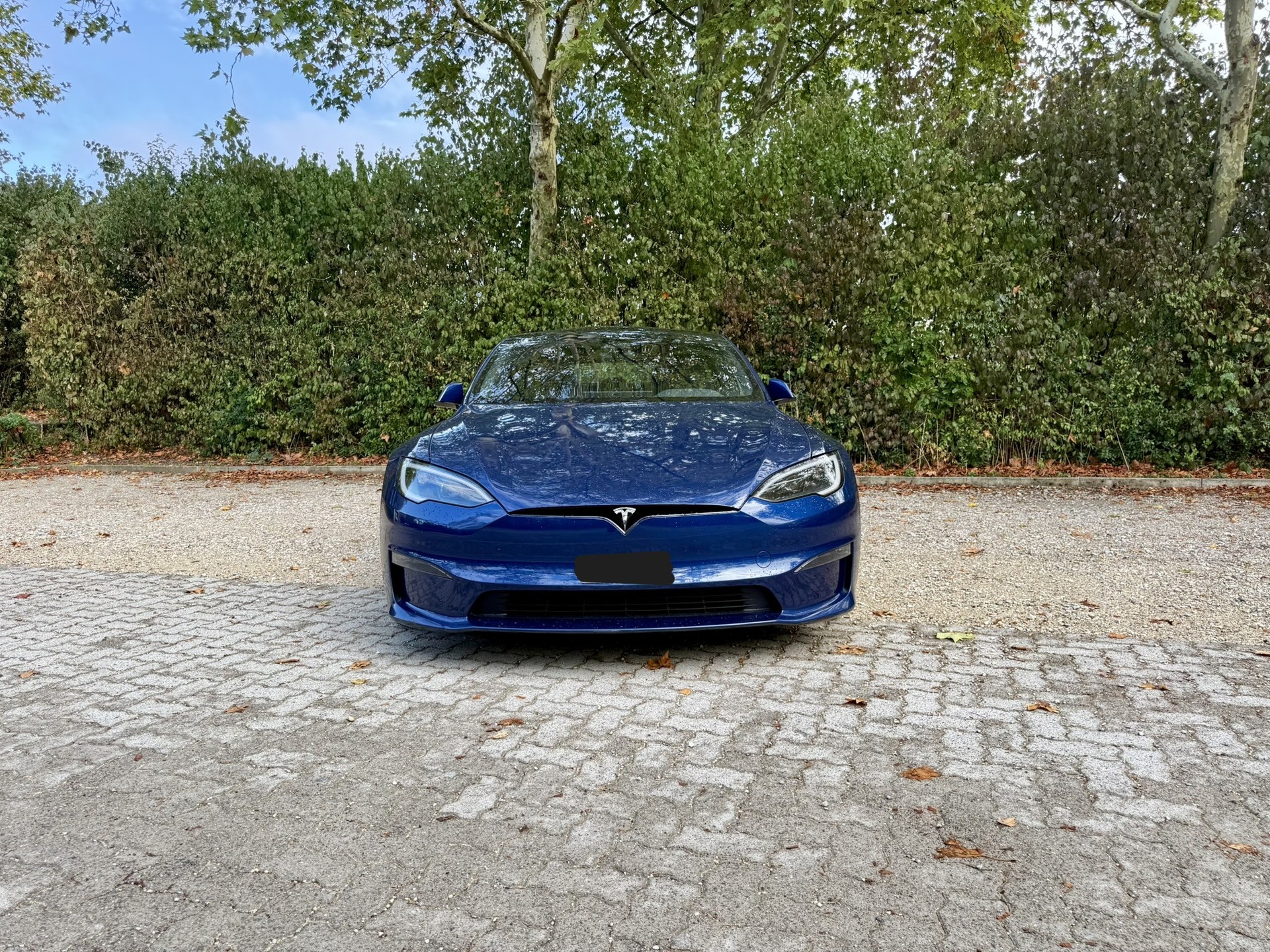 TESLA Model S 100kWh Plaid-image-1