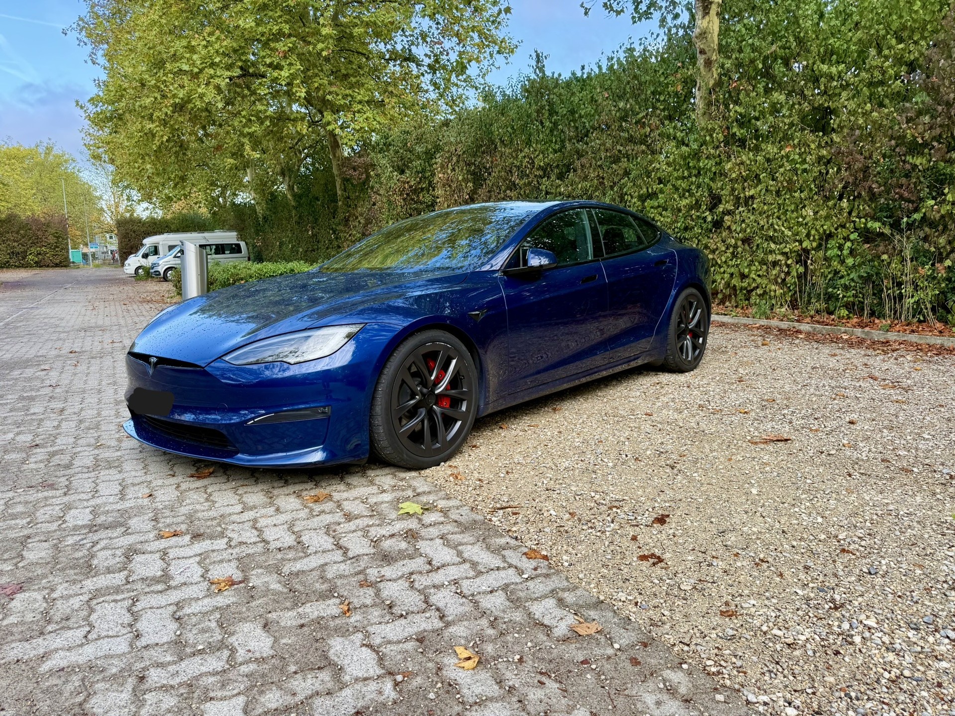 TESLA Model S 100kWh Plaid-image-2