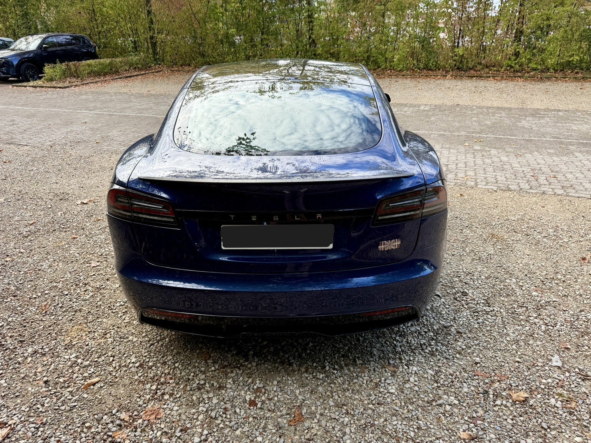 TESLA Model S 100kWh Plaid-image-4